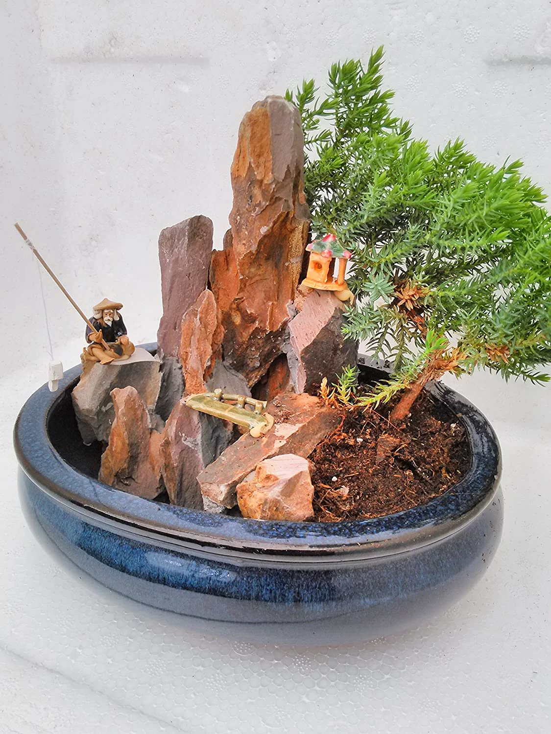 jmbamboo-bonsai- Juniper Tree Zen Garden With Pool Fishman