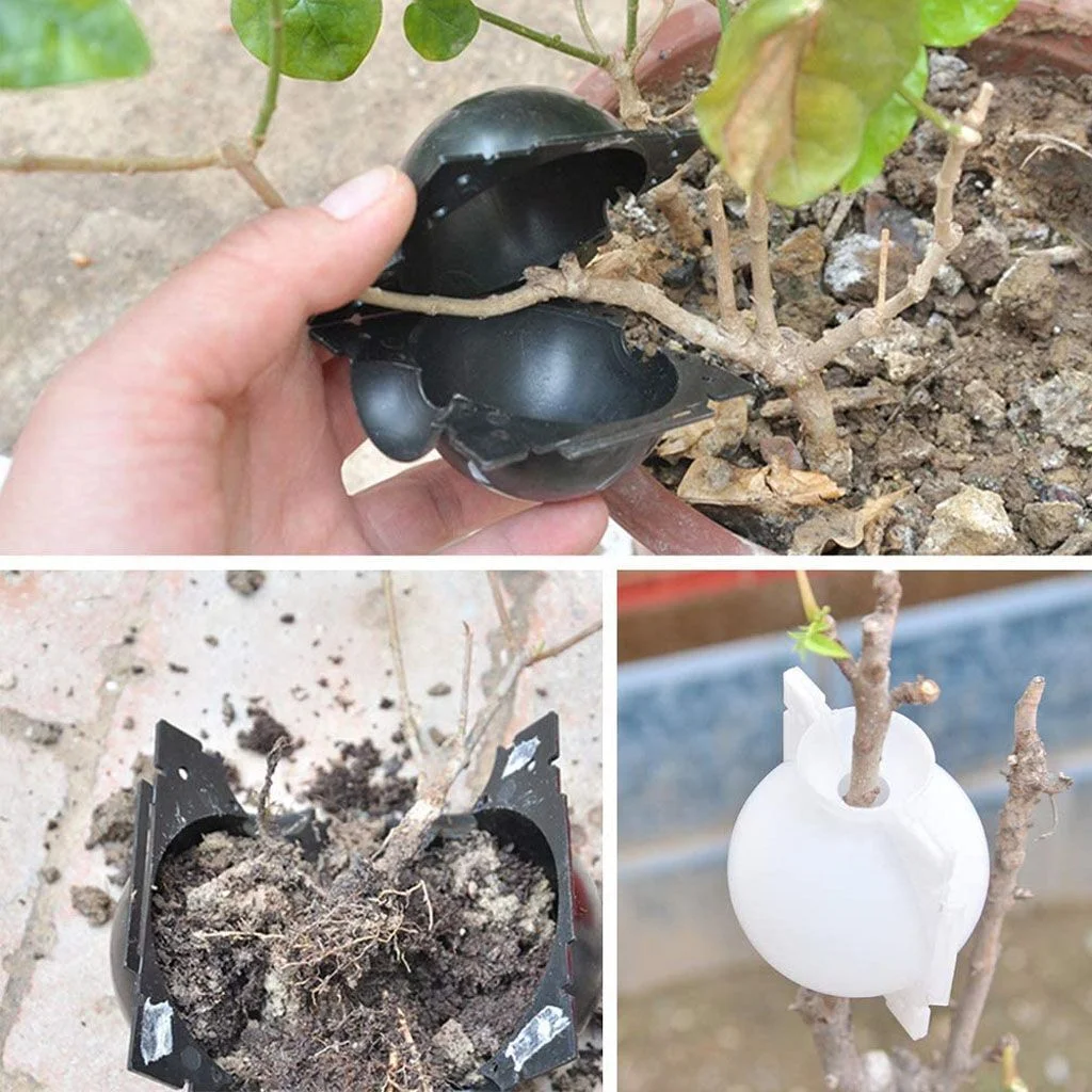 1/3/5/10pcs Plant Rooting Device High Pressure Propagation Ball Graft Box Grow
