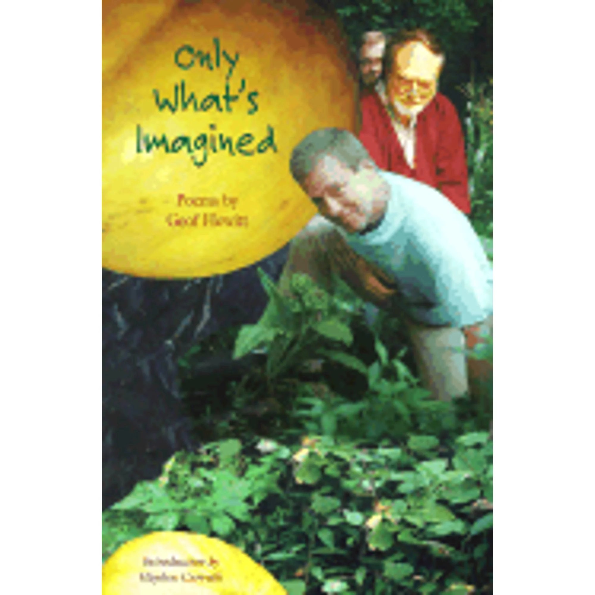 Pre-Owned Only What's Imagined (Paperback 9780967678702) by Geof Hewitt, Hayden Carruth