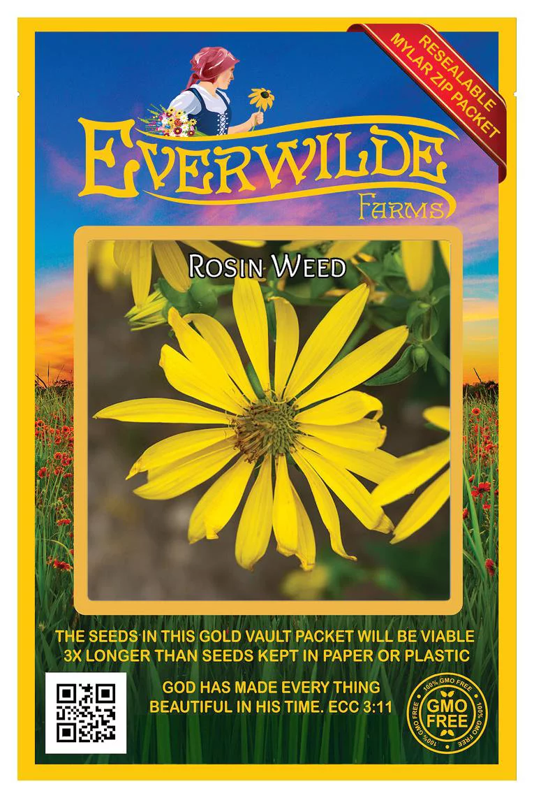 Everwilde Farms - 150 Rosin Weed Native Wildflower Seeds - Gold Vault Jumbo Bulk Seed Packet