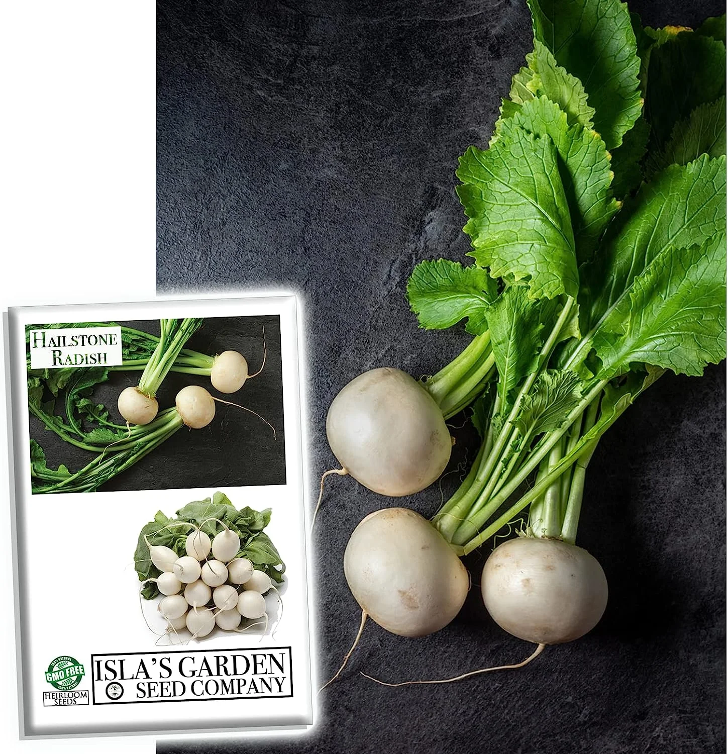Hailstone Radish Seeds, 250+ Heirloom Seeds, Fantastic Addition to Your Home Garden! Pure White, Firm and Crisp! Non GMO, 90% Germination Rates, Seeds