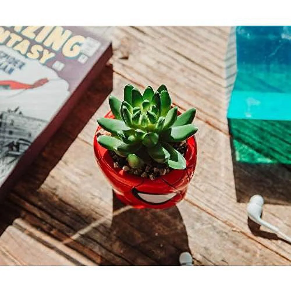 Comics  3-Inch Ceramic Mini Planter With Artificial Succulent