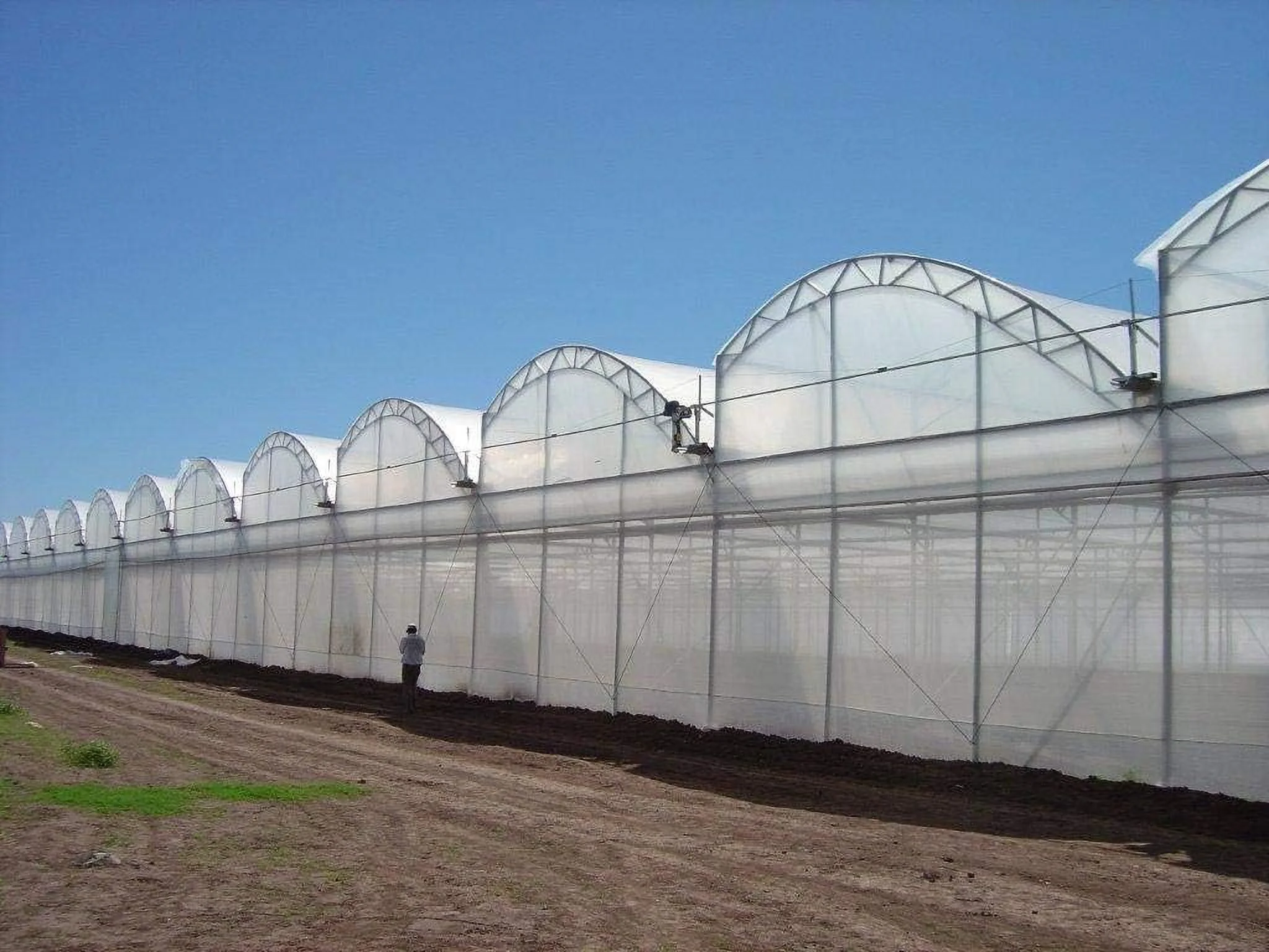 Greenhouse Clear Plastic Film Polyethylene Covering Gt4 Year 6 Mil 16Ft. X 55Ft. By Grower’S