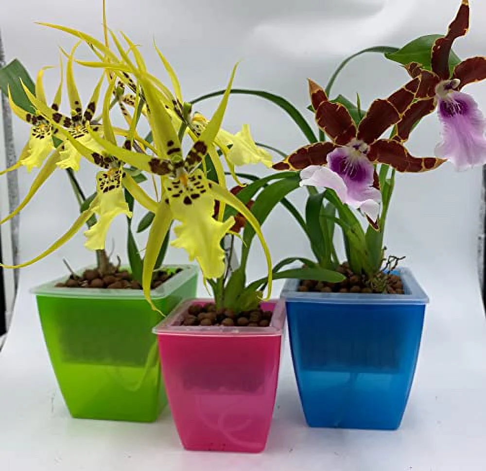 3 Perfect Orchid Planter, Plastic Planter Pot, Orchid Pots with Holes Mesh Net Orchid Planter Flower Pots for Home Decoration 3 Inner Baskets & 3 Outer Planters Included (Blue, Small 4 inches)