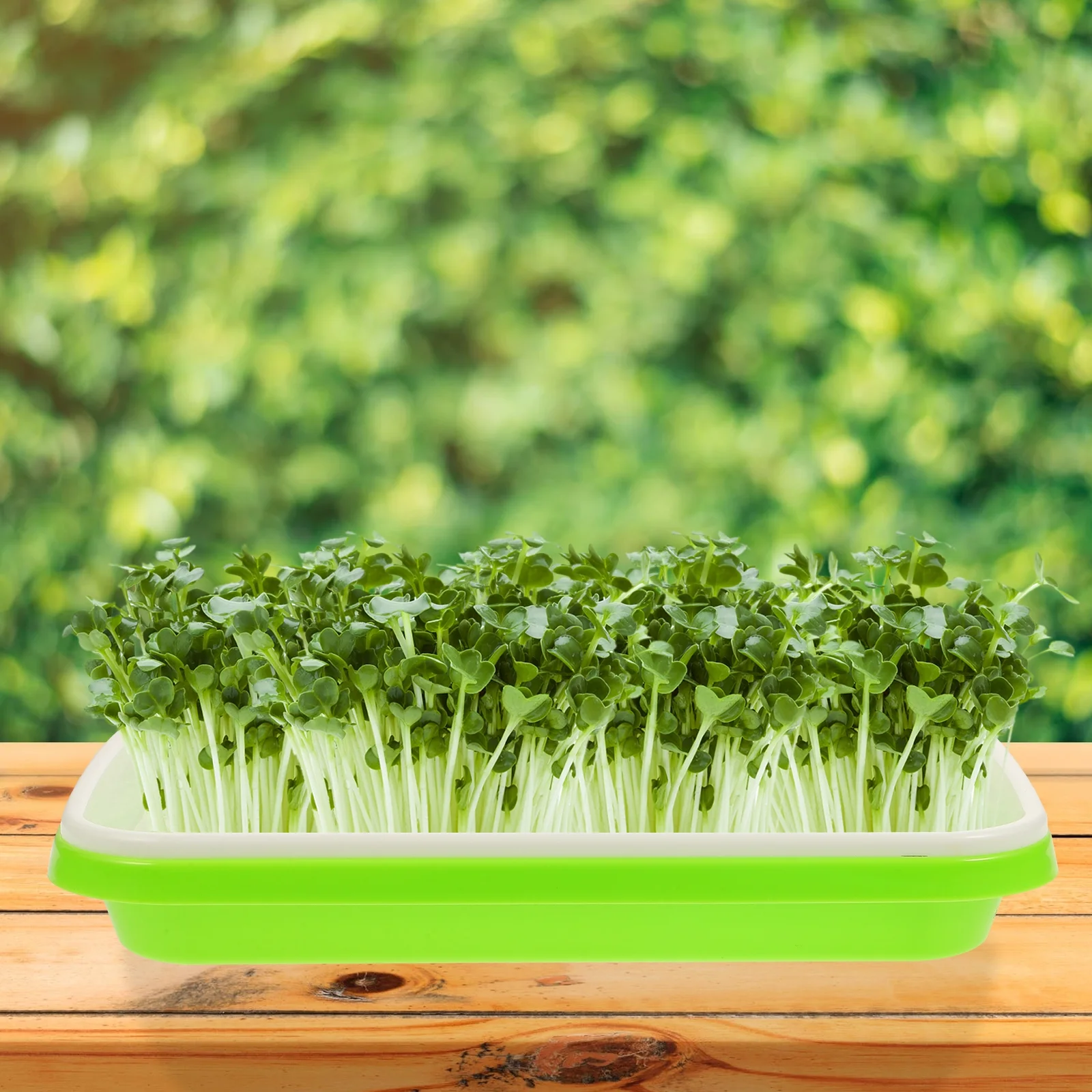 Gongxipen 3Pcs Premium Nursery Tray Hydroponic Germinating Tray Garden Plastic Nursery Tray