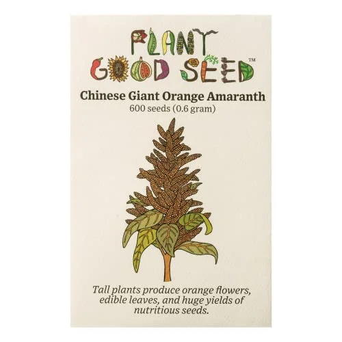 Orange Chinese Giant Amaranth Seeds - Pack of 600, Certified Organic, Non-GMO, Open Pollinated, Untreated Vegetable Seeds for Planting – from USA
