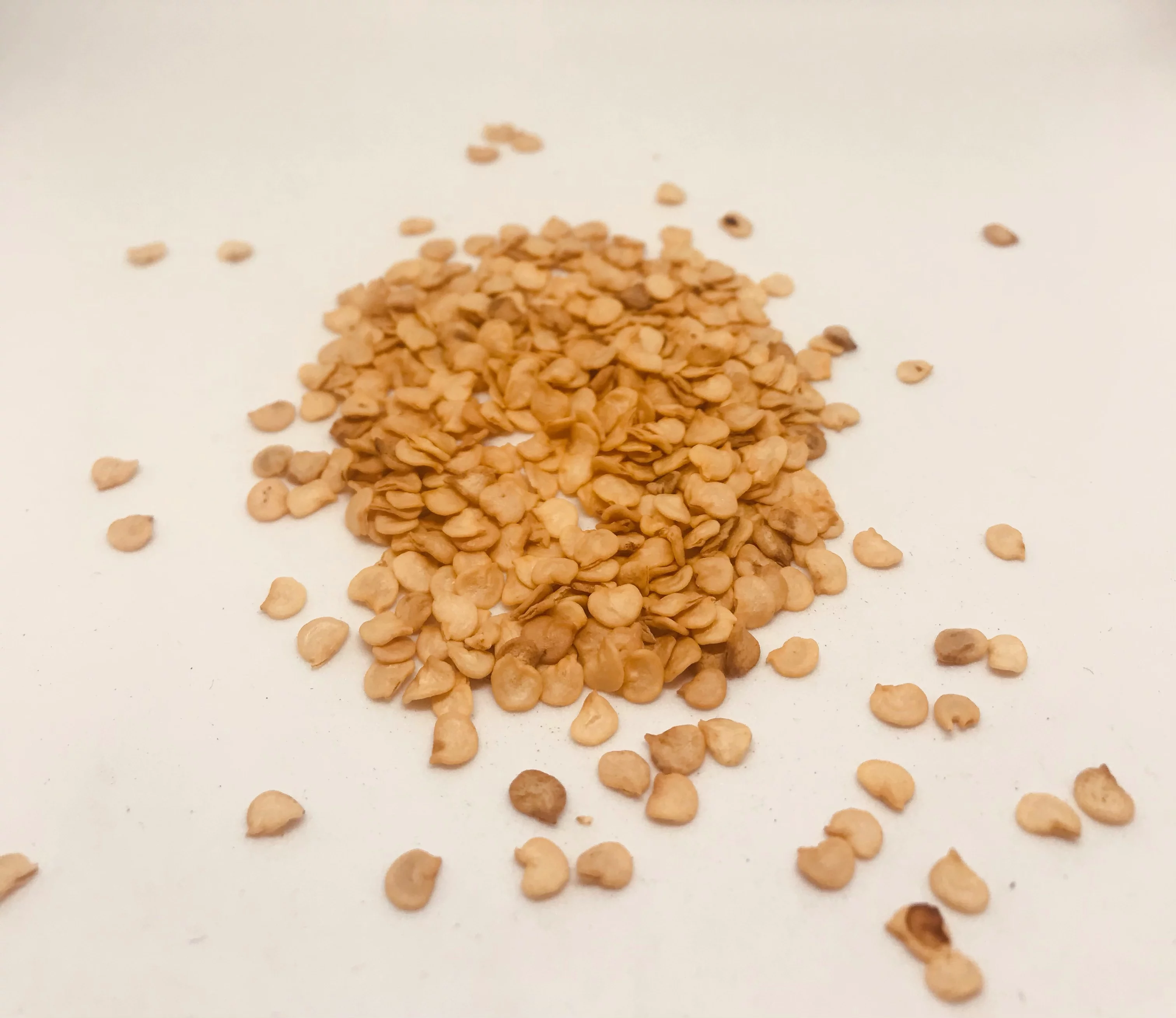 Big Jim NuMex Hot Pepper/ Annual/ Full Sun/ 200 Seeds 2 grams/ Zellajake Farm and Garden - B183