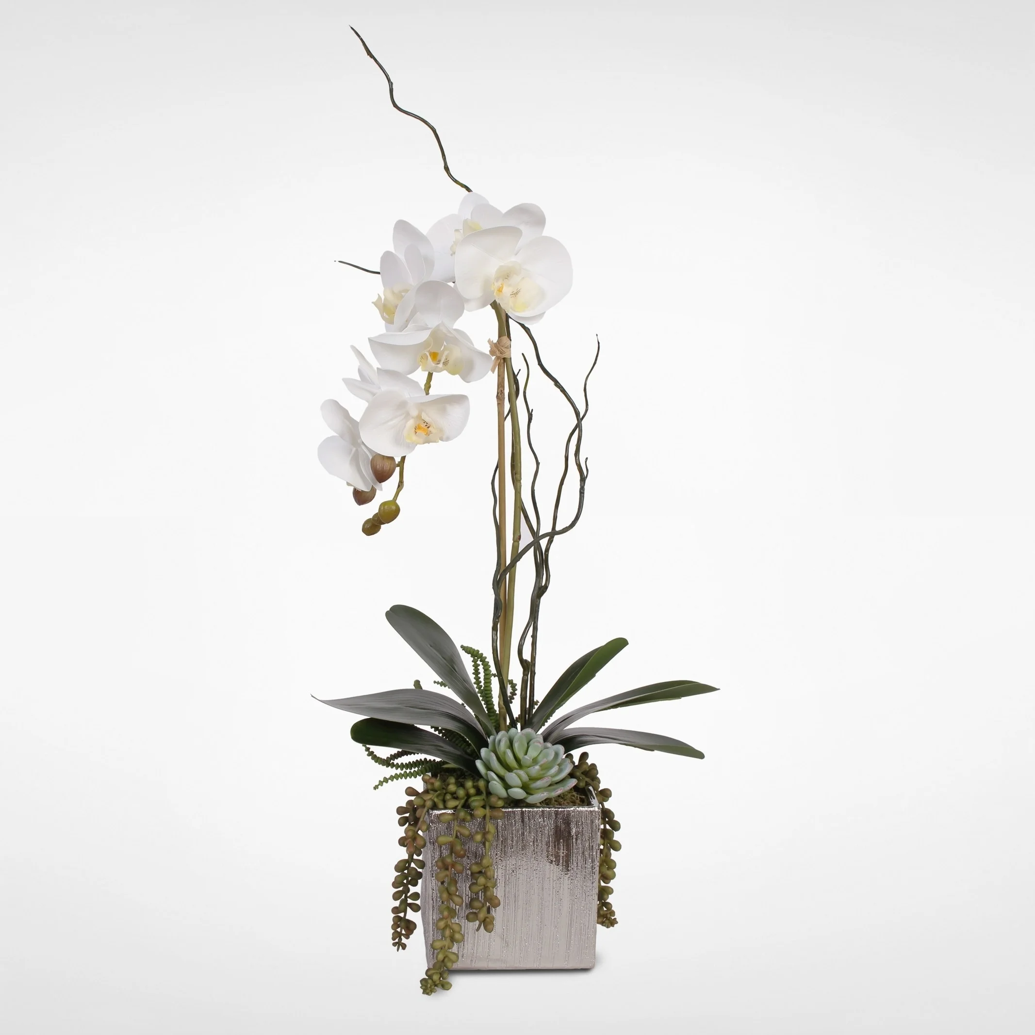 Jenny Silks Real Touch White Orchid with Succulents in a Silver Ceramic Pot