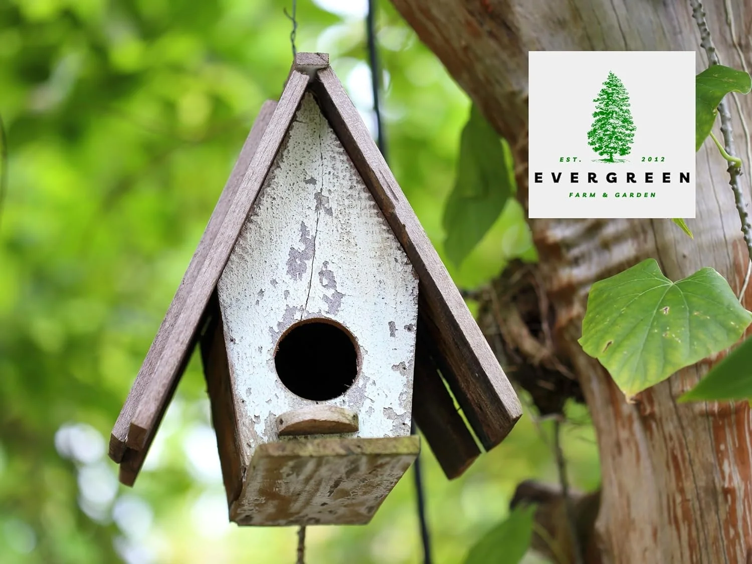 Evergreen Farm and Garden Bird Seed Cylinders - (2 Small Cylinders, Four Seasons Flight)