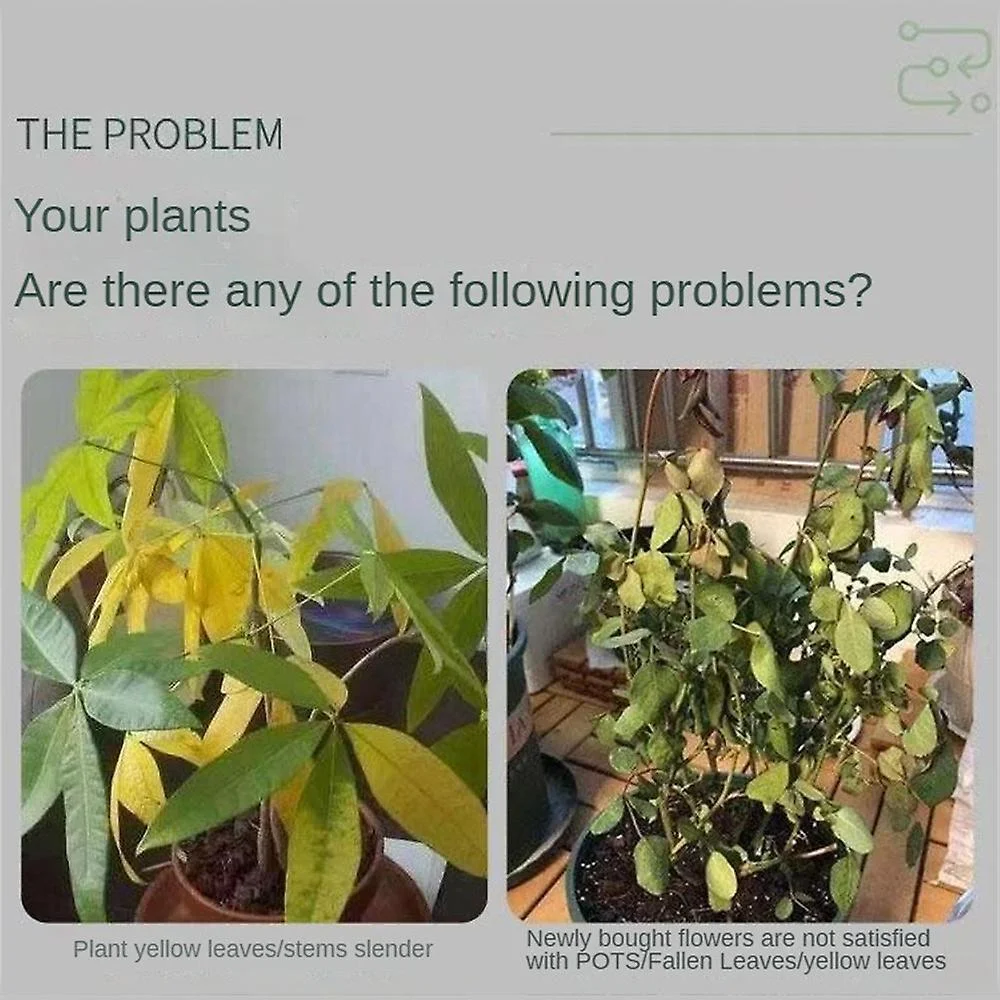 1-3X Plant and Flower Activation Liquid Solution