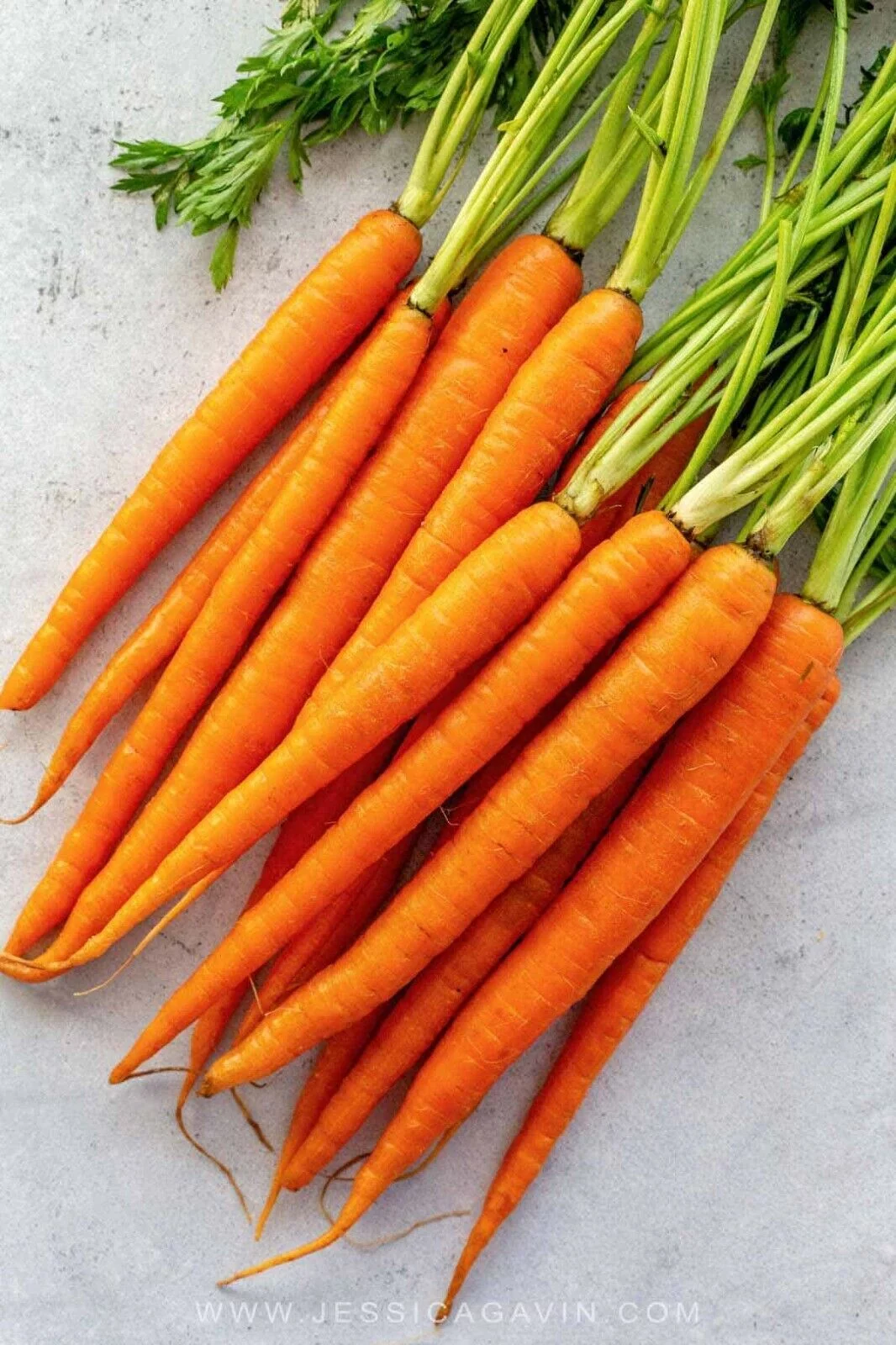 100+ Scarlet Nantes Carrot Seeds for Planting Grow Your Own Vegetables