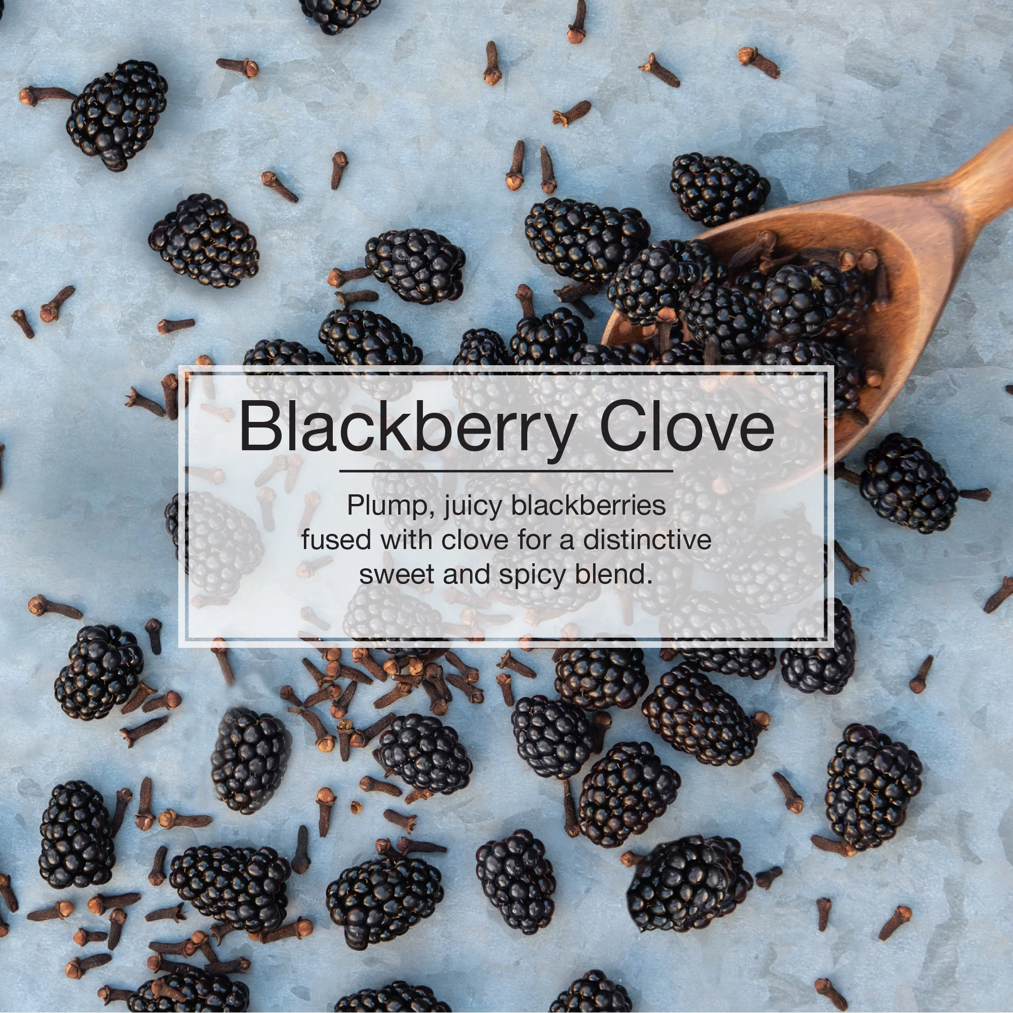 Little Trees Auto Air Freshener, Hanging Card, Blackberry Clove Fragrance 3-Pack