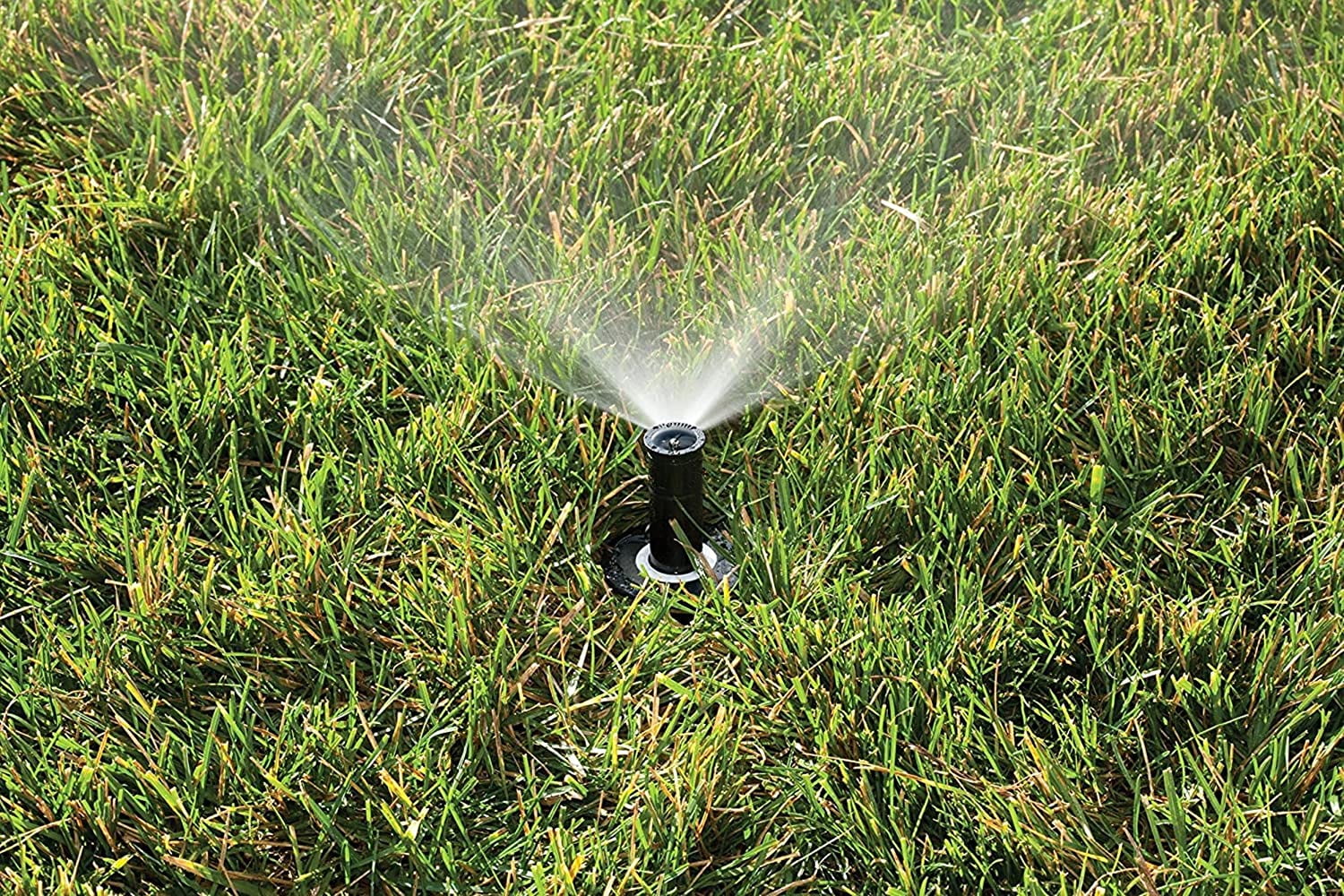 Rain Bird 1802QDSPRS Regulating Pop-Up Sprinkler, 1/2