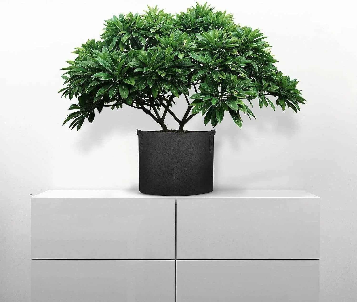 5pcs  1-30 Gallon Plant Grow Bags Thickened Nonwoven Fabric Pots Container