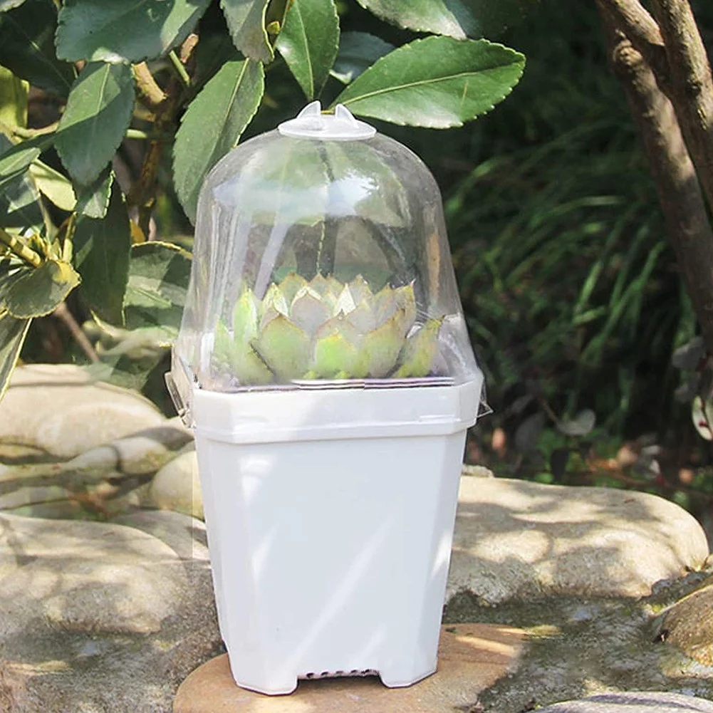 10 Pcs Plant Nursery Pots with Humidity Dome Small Plastic Square Flower Pot