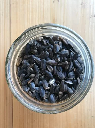 Black Oil Sunflowers, Non-GMO, 50 lb