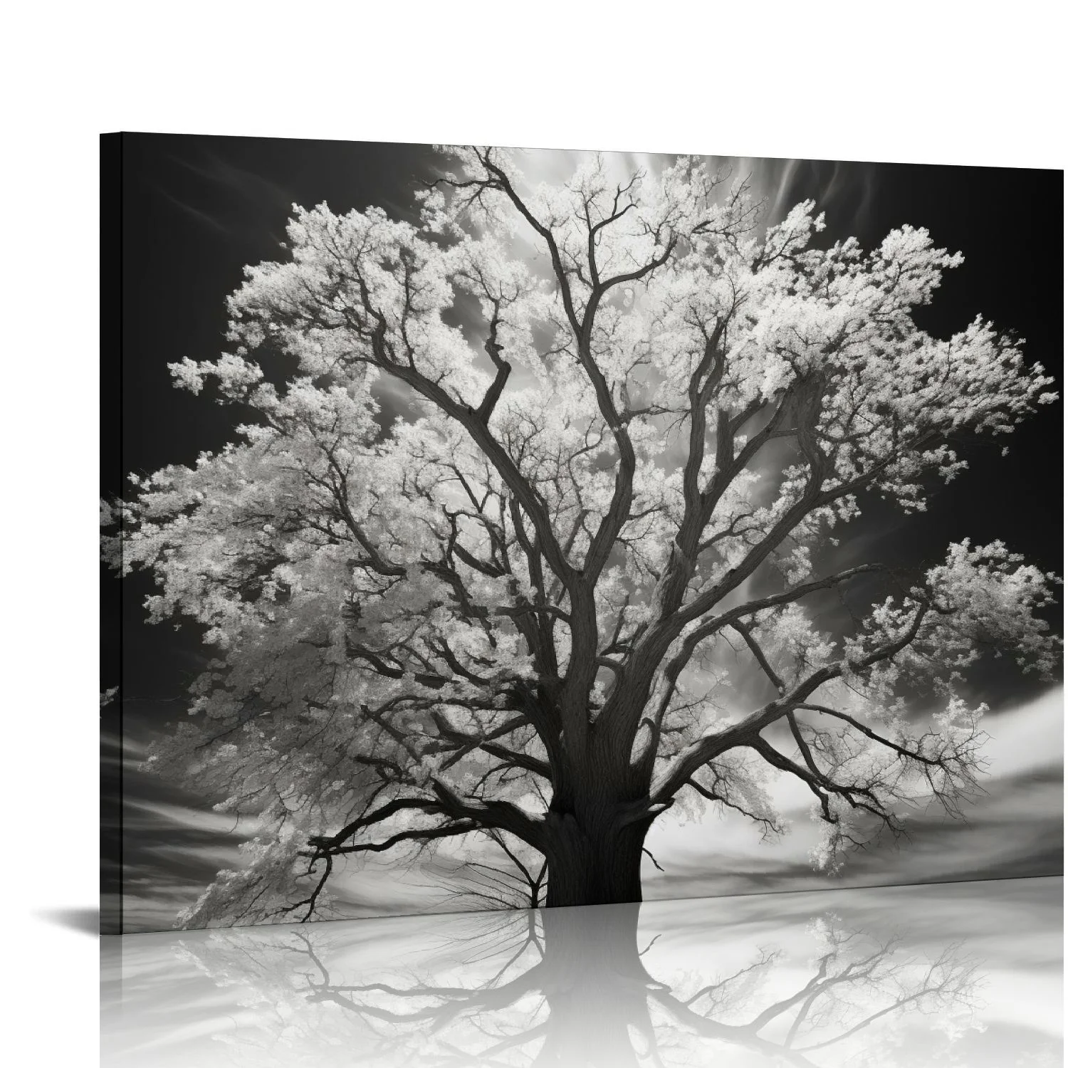 COMIO Angel Oak Tree Monochrome Charleston South Carolina Black White Nature Poster Canvas Pictures Print Wall Art for Living Room Bedroom Decor