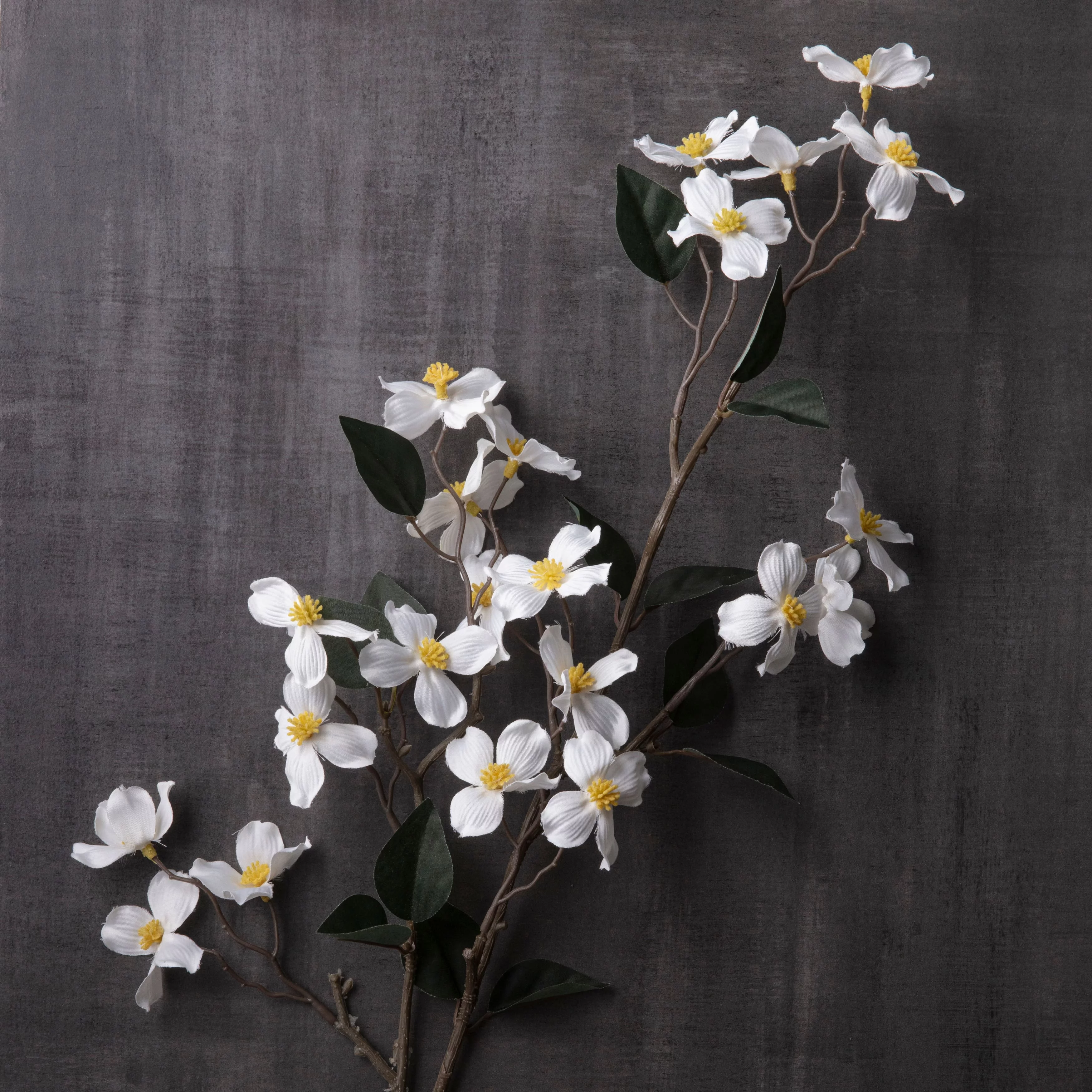 White Mini Dogwood Stem by Ashland®