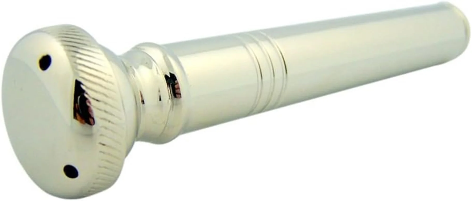 Nickel Plated Travel Pocket Holy Water Sprinkler in Vinyl Carrying Case, 4-2/3 Inch L