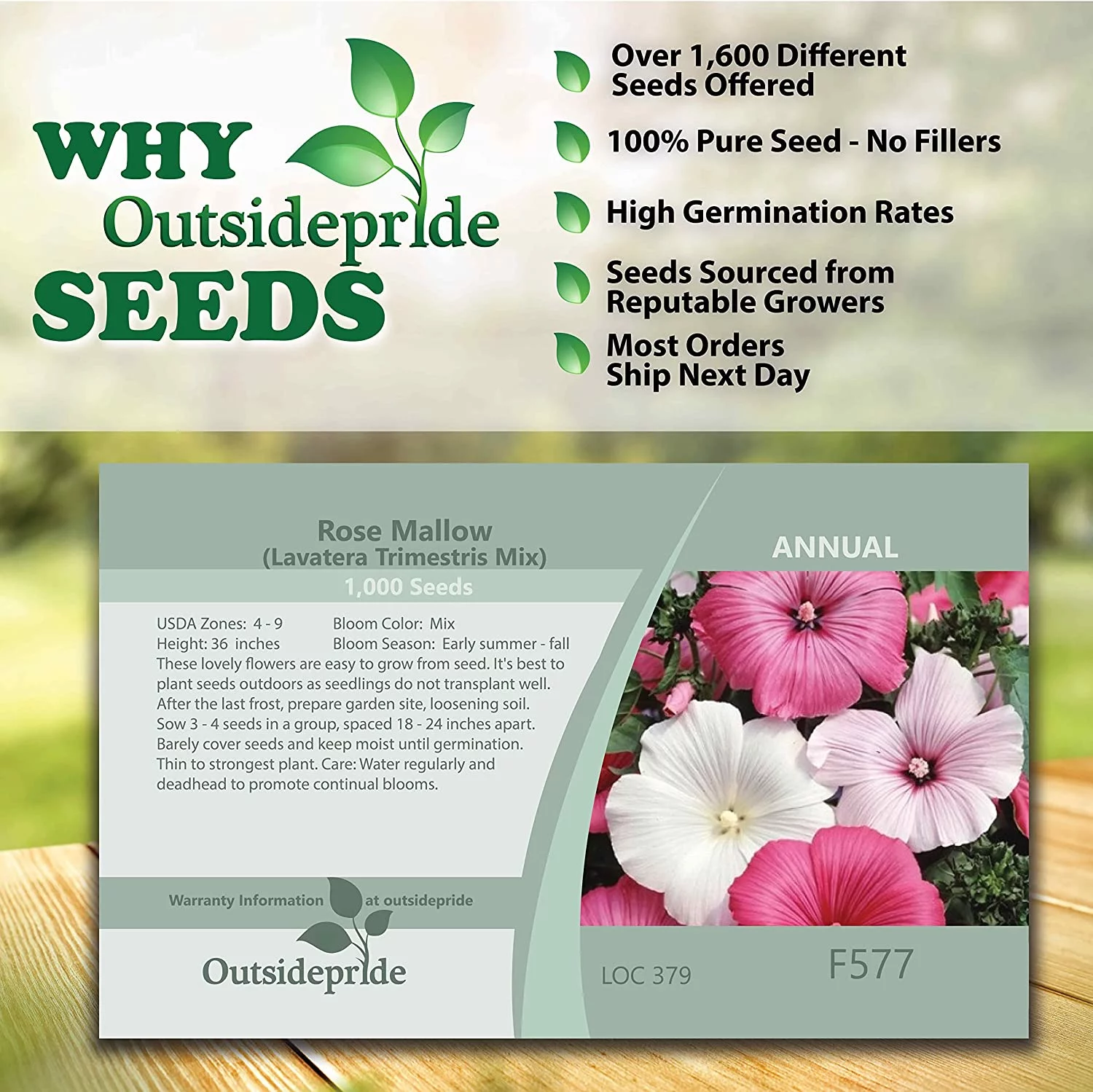 Outsidepride Rose Mallow Mix - 2000 Seeds