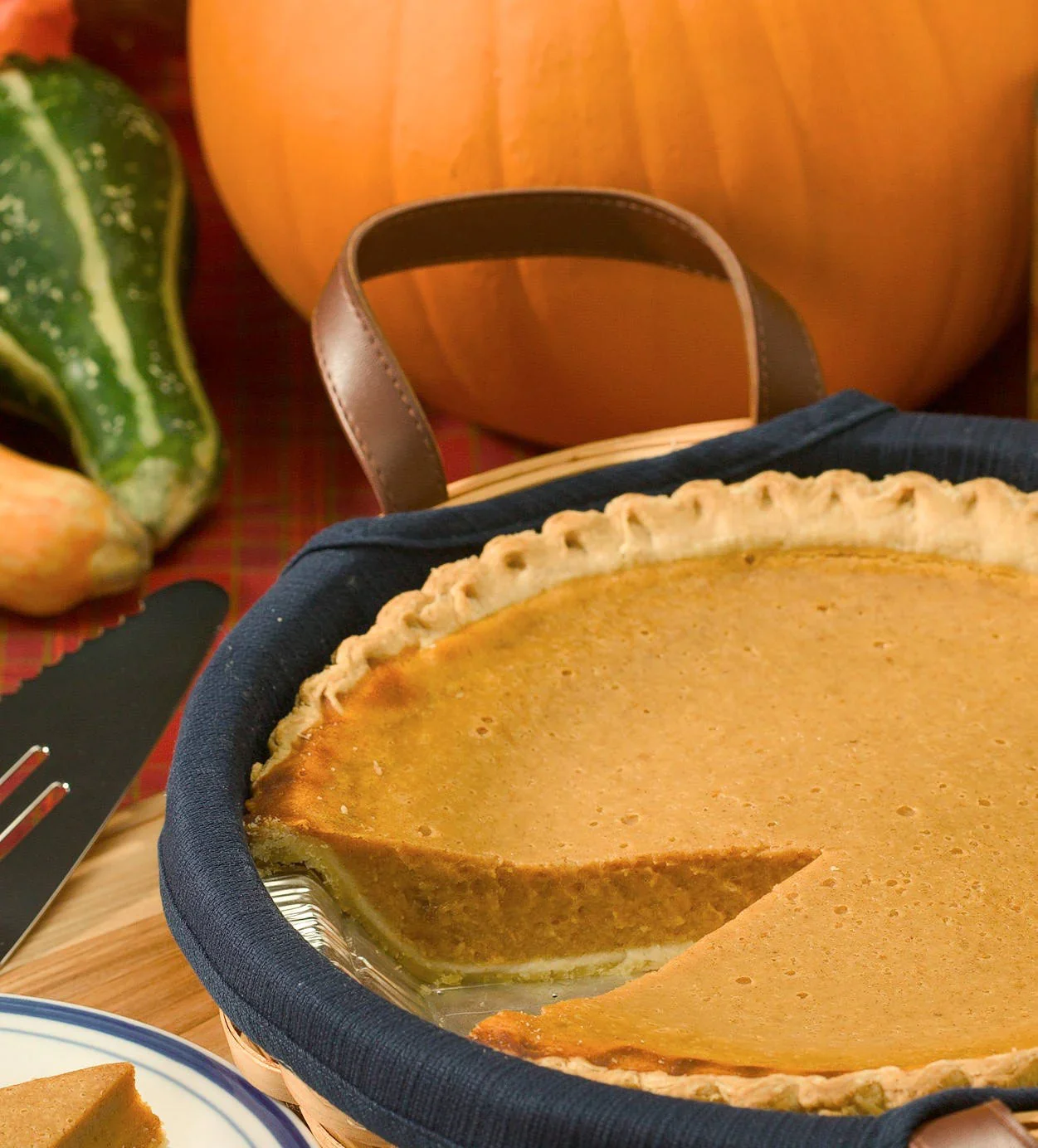 50 CONNECTICUT FIELD PUMPKIN BigTom Orange Yankee Cucurbita Pepo Vegetable Seeds