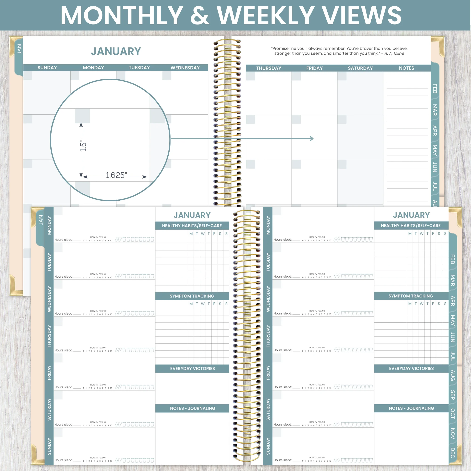 bloom daily planners Chronic Illness Planner, You Are Stronger Than You Think