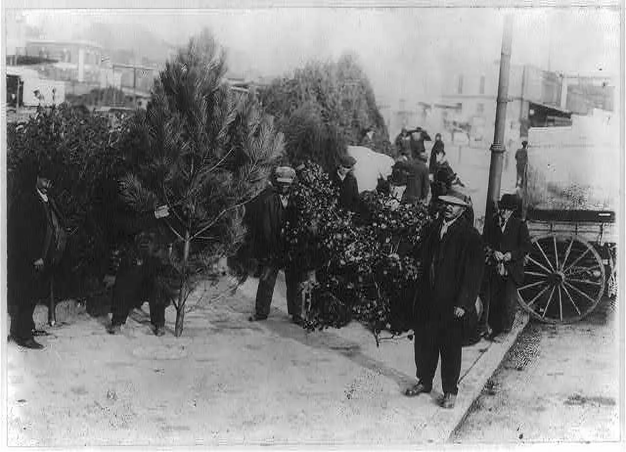 African Americans selling Christmas trees and holly, Washington, D.C. Canvas Wall Art (20