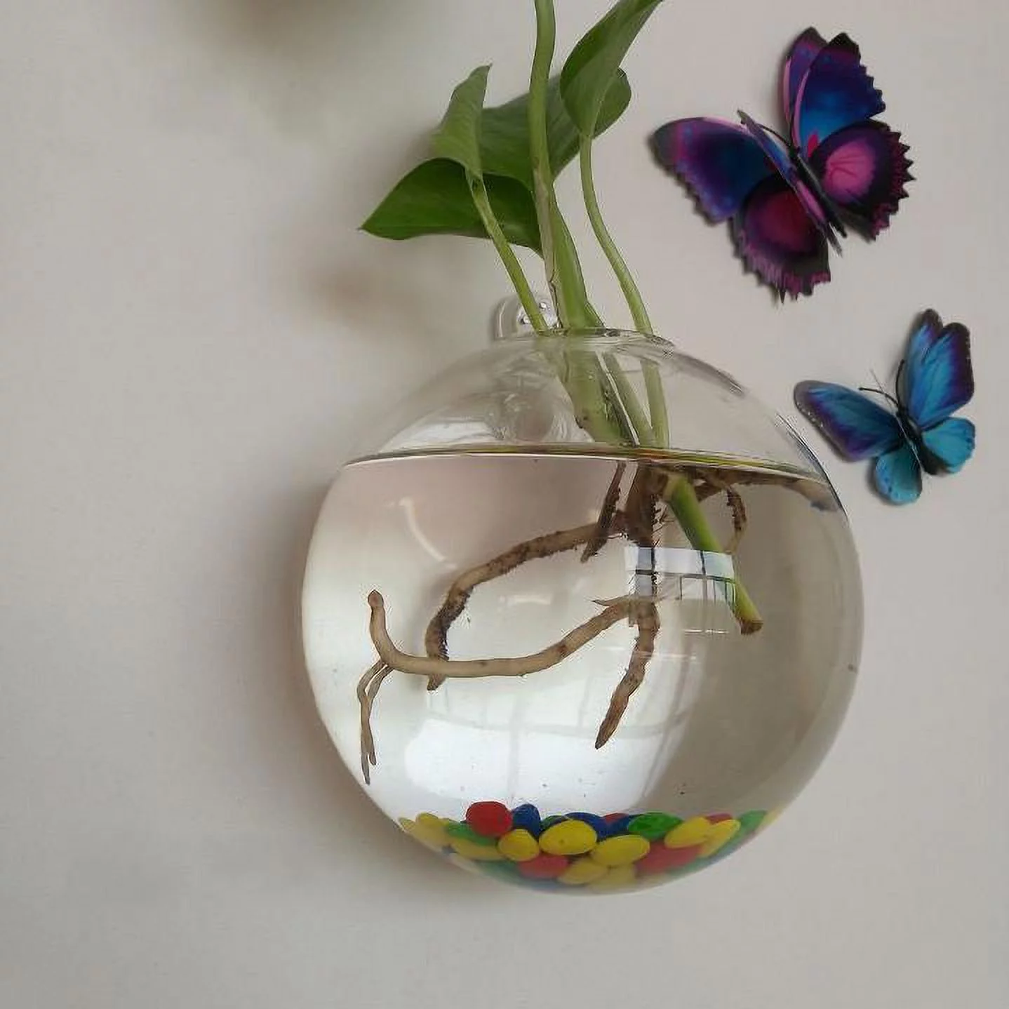 Wall Mounted Bowl Fish Tank Wall Hanging Bubble Bowl Plant Fish Tank Aquarium Home Decoration Pet Products
