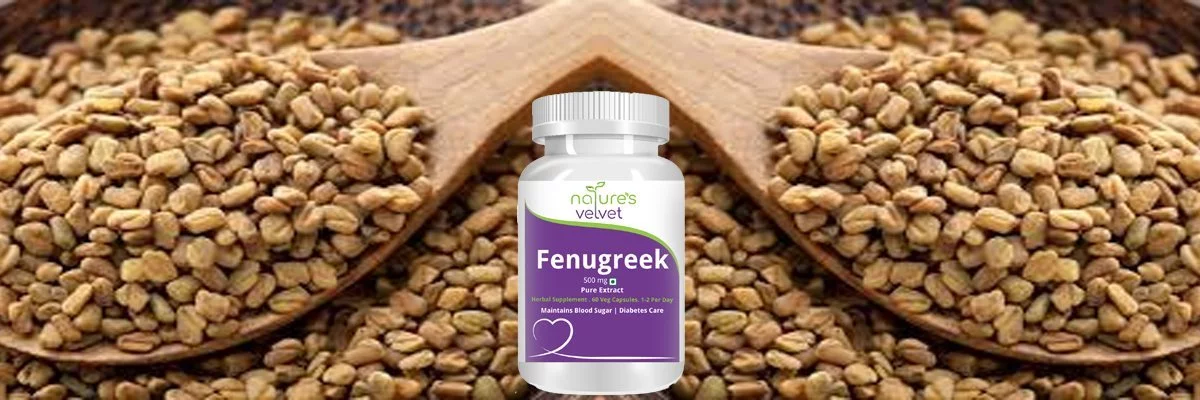 Natures Velvet Lifecare Fenugreek Pure Extract (500 Mg), 60 Veggie Capsules (1+1)