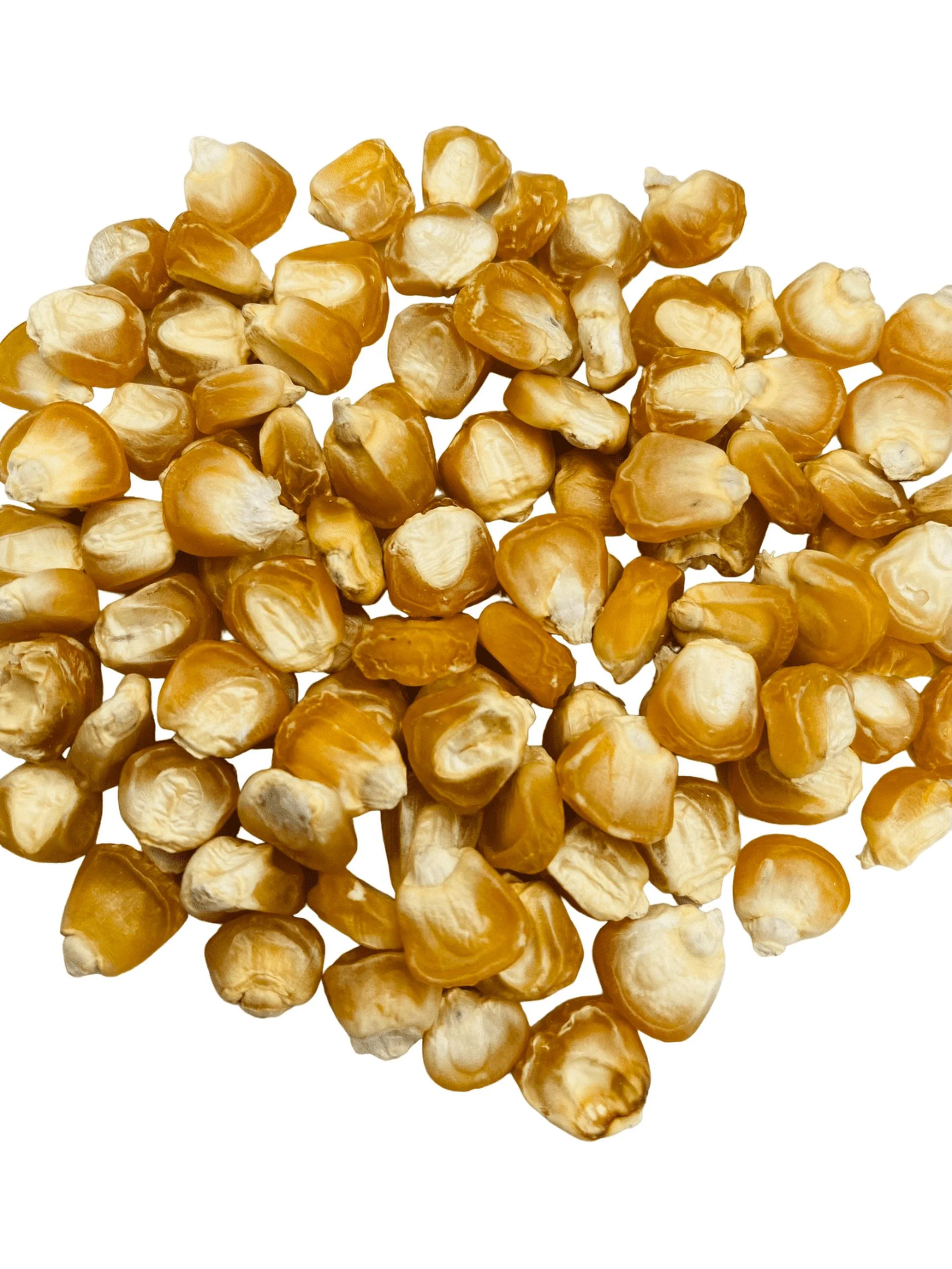 Browning Seed Sweet Corn Silver Queen, 15gm Packet