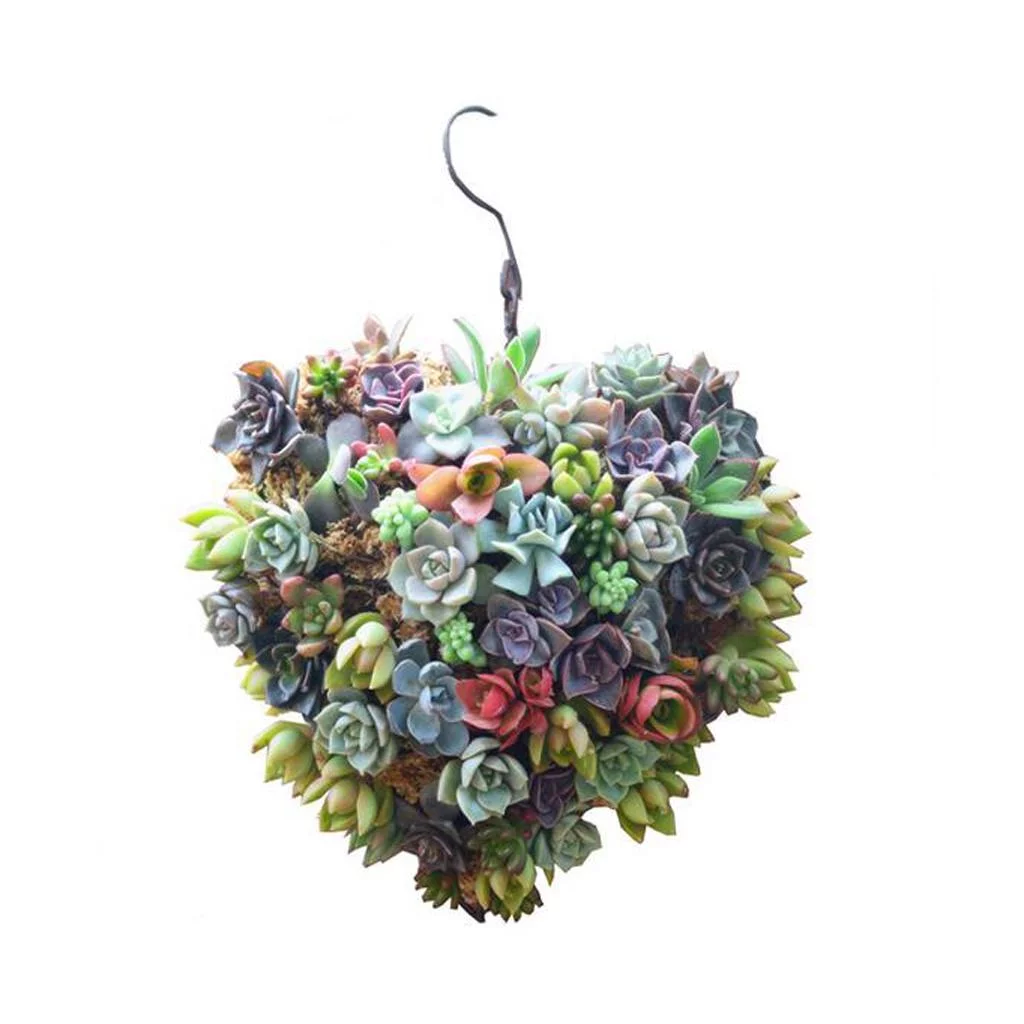 Heart Succulents Pot Hanging Planter Plant Holder Basket Made of Iron Wire