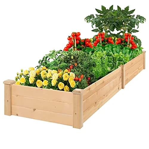 Betterland 8 FT Wooden Raised Garden Bed Outdoor Elevated Flower Planter Box Kit for Vegetables Fruits Herb Grow Yard Gardening, Natural