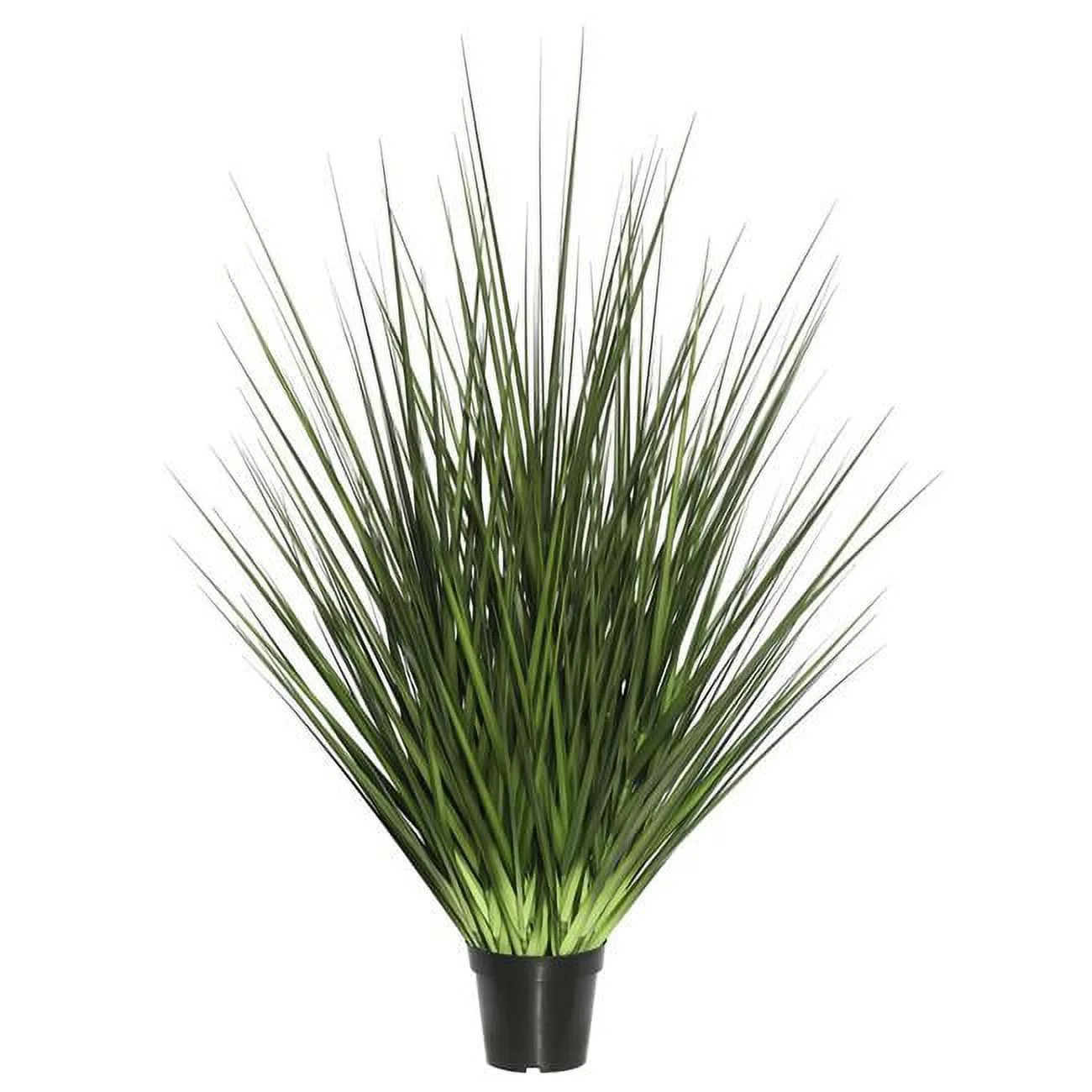 X205 Everyday Grass On Pot - 24 in.