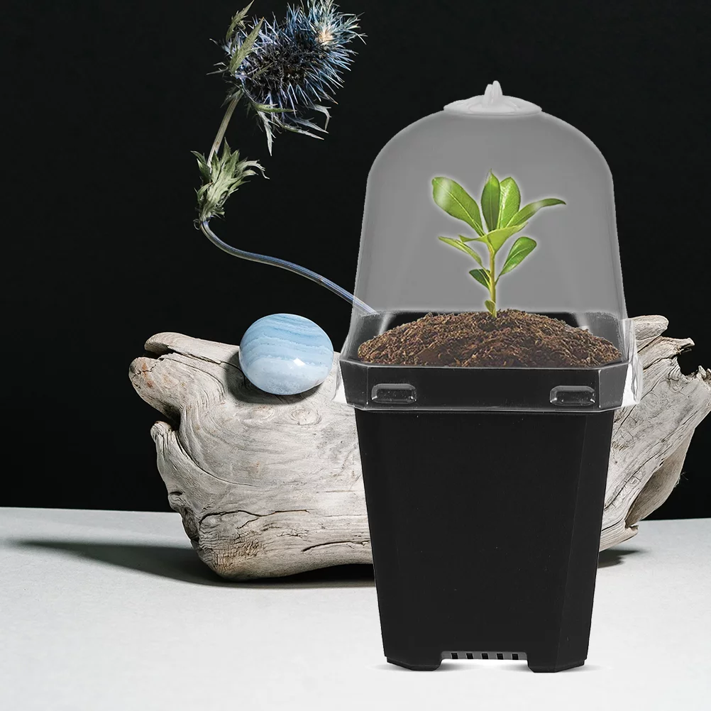 12 Sets Stuffy Flower Pots Planter Pots Small Containers Nursery Starting Pot Small Plant Gardening Flowerpot