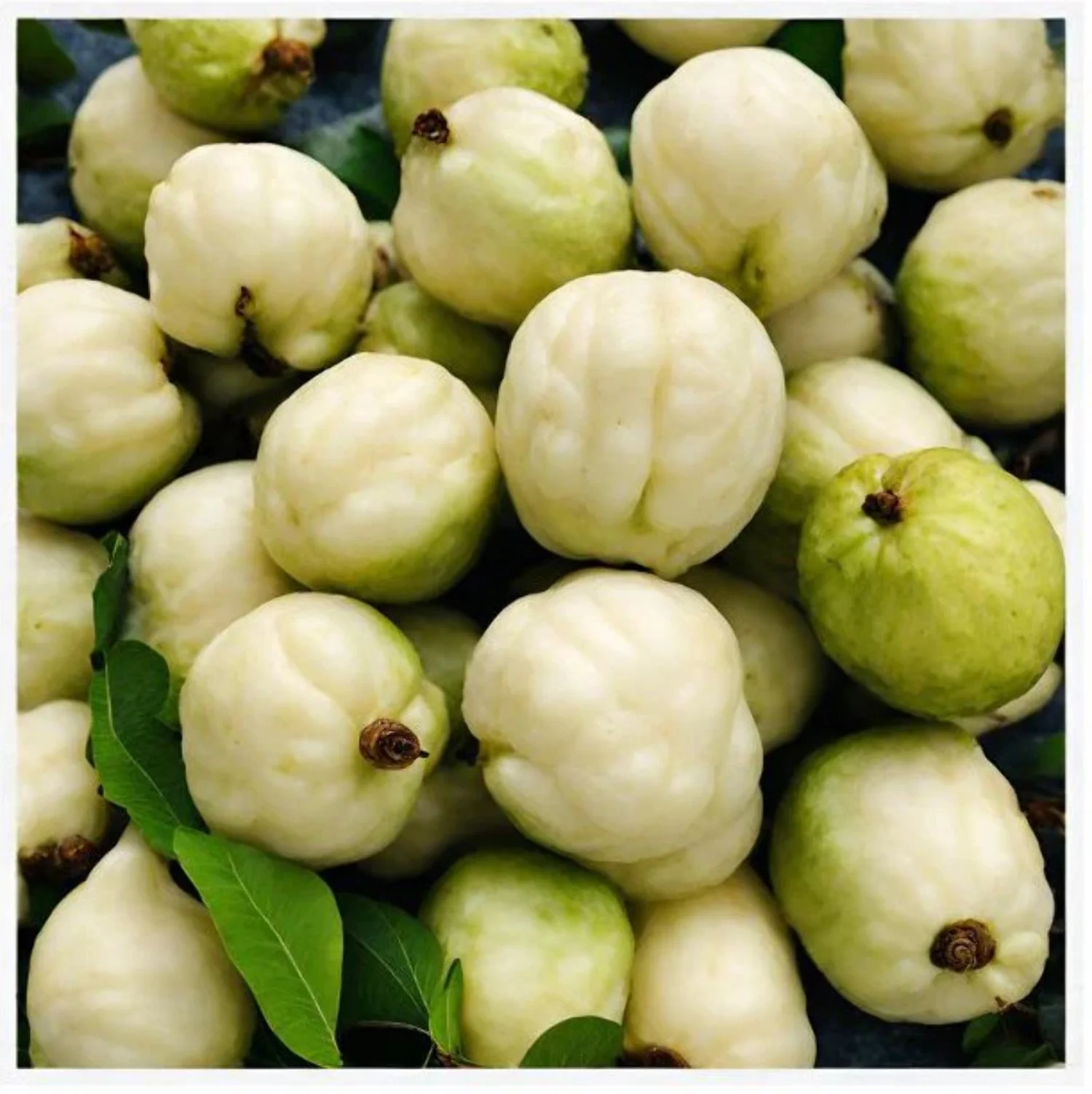 Indus Farms Superfoods Freeze Dried White Guava Fruit Powder, 100% Pure  Natural, Additive-Free, GMO-Free, Vegan