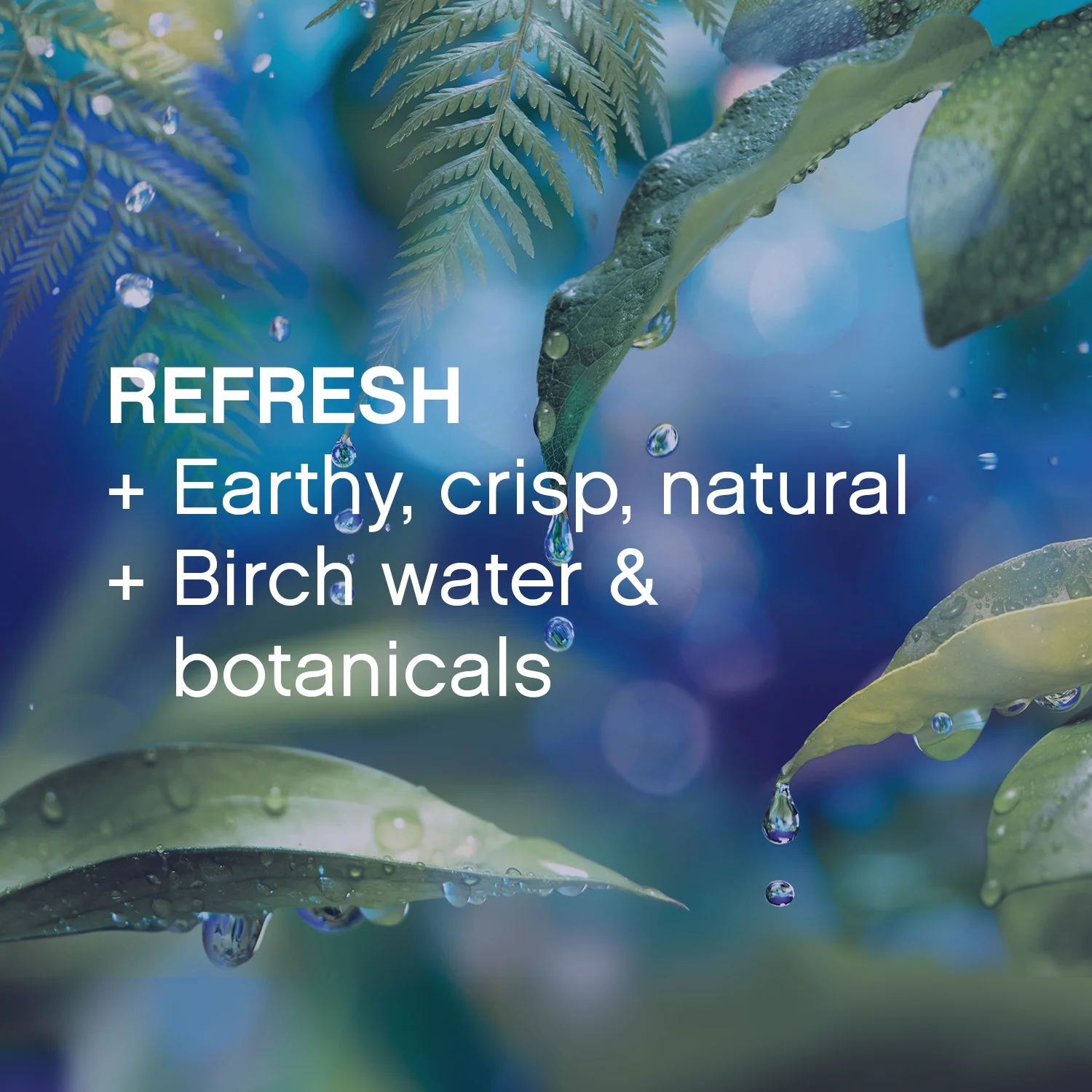 Downy Infusions Refresh, Birch Water and Botanicals, 120 Loads Liquid Fabric Softener, 81 fl oz