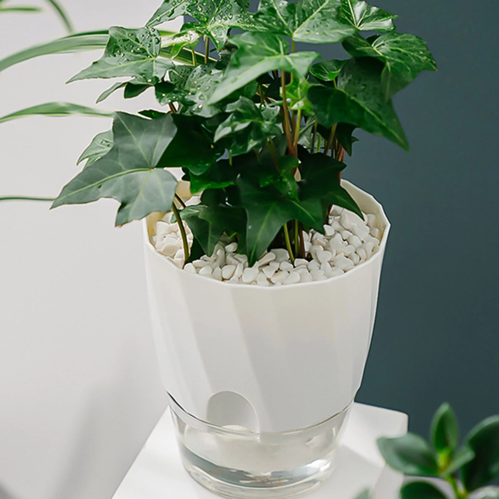 DYWADE 4/July Self Watering Planter African Violet Pots Clear Automatic Watering Planter Flower Pot Square Pot for All House Succulents Herb B One Size