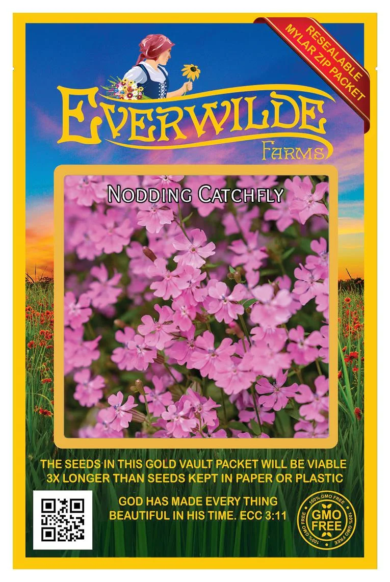 Everwilde Farms - 2000 Nodding Catchfly Garden Flower Seeds - Gold Vault Jumbo Bulk Seed Packet