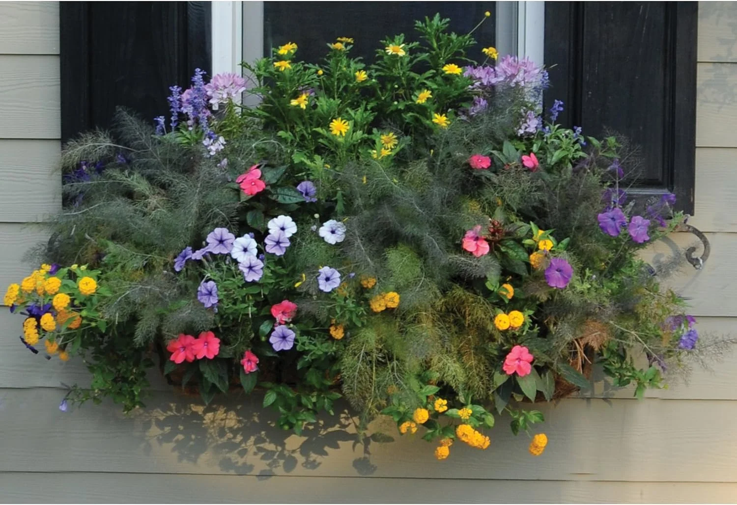 Side Planting Window Box & Liner Set