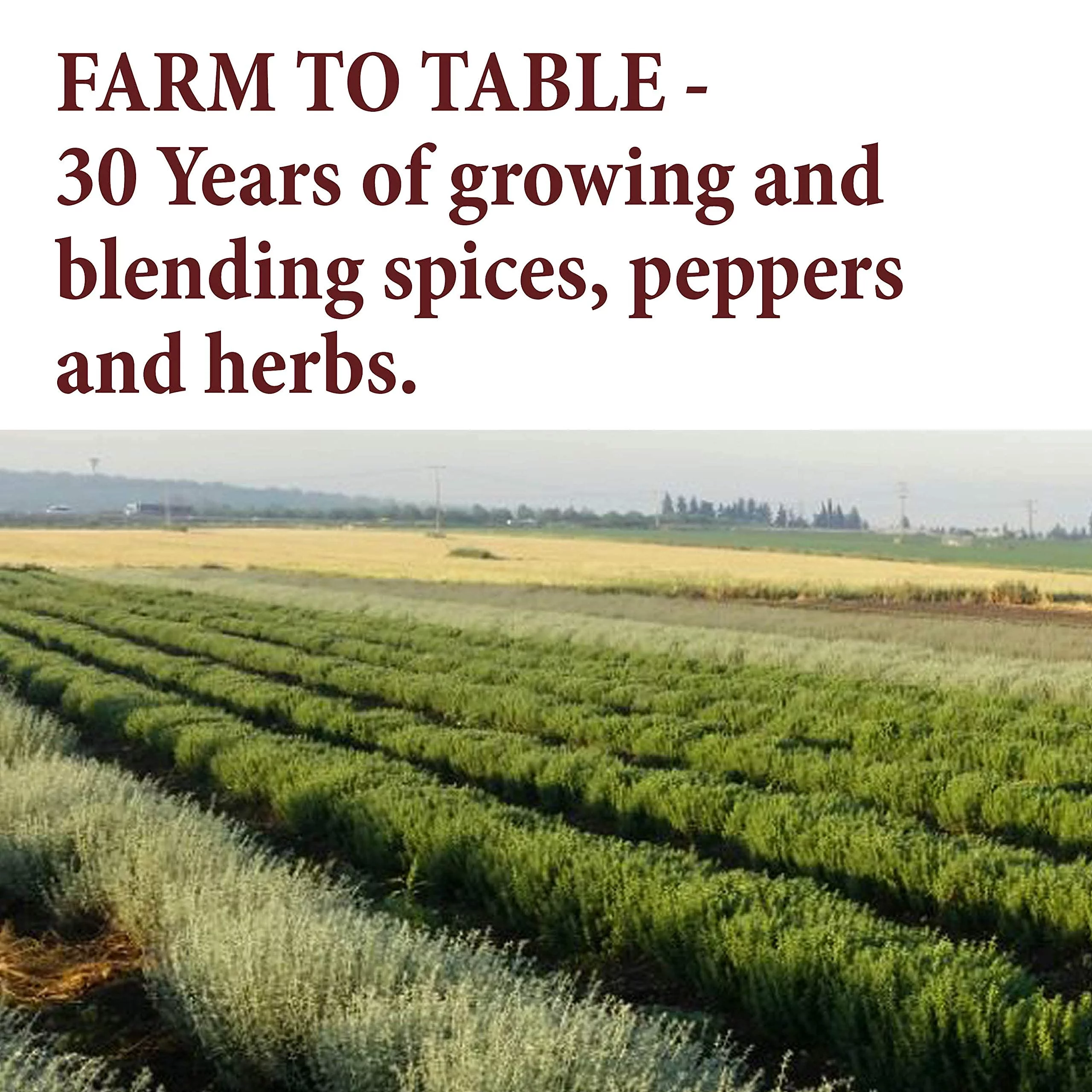 The Spice Way Brown Mustard Seeds - Whole Seeds - 8 oz.