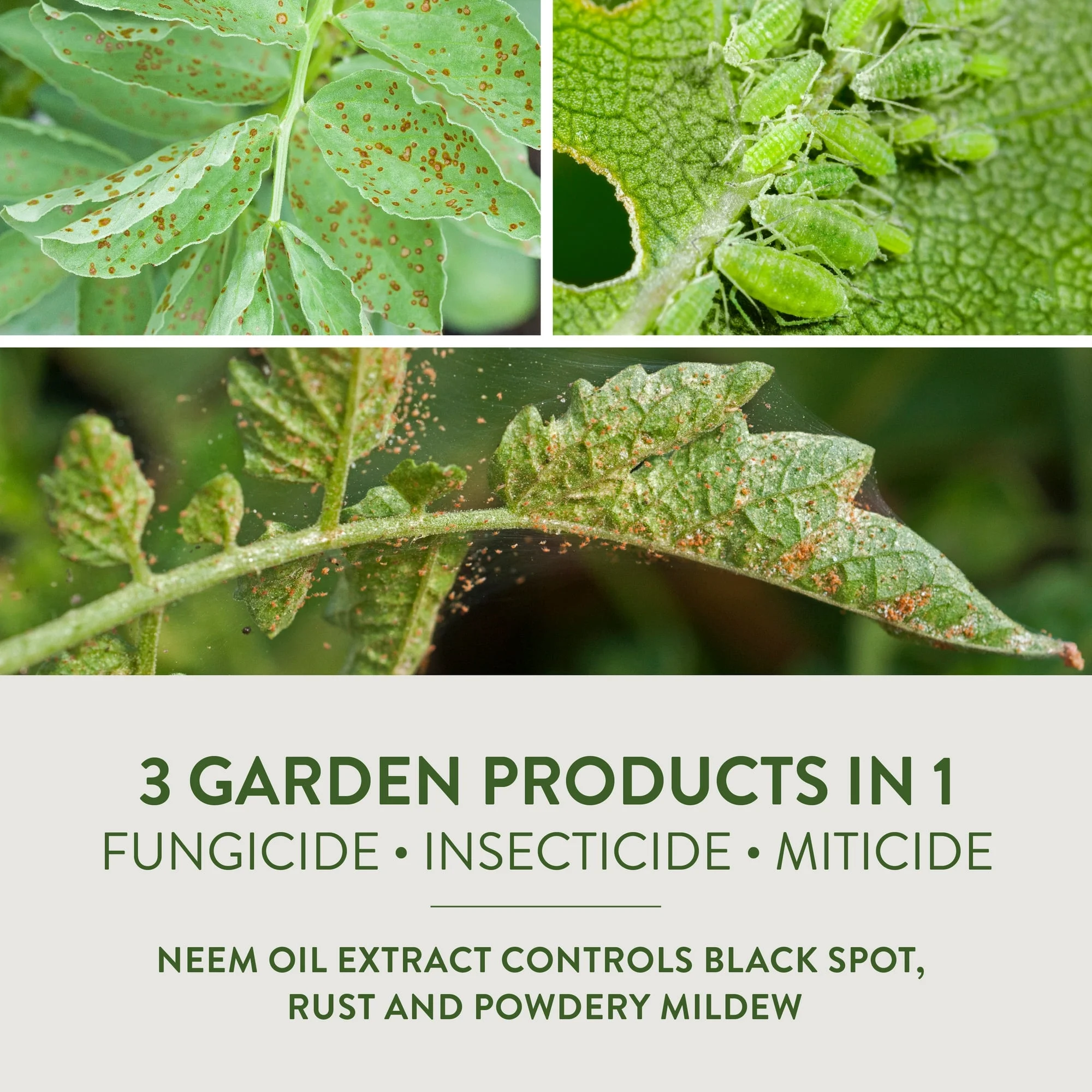 Garden Safe Fungicide 3 Concentrater, 28 oz, Controls Fungus & Insects ( 2 Packs )