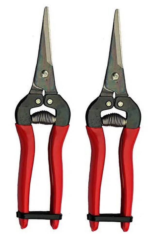 Needle Nose Fruit Pruners (2 Pack)