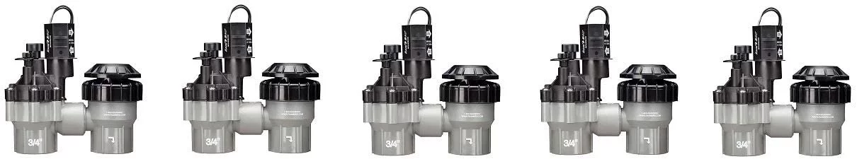 RAIN Bird DASASVF075 Professional Grade Anti-Siphon Valve with Flow Control, 3/4