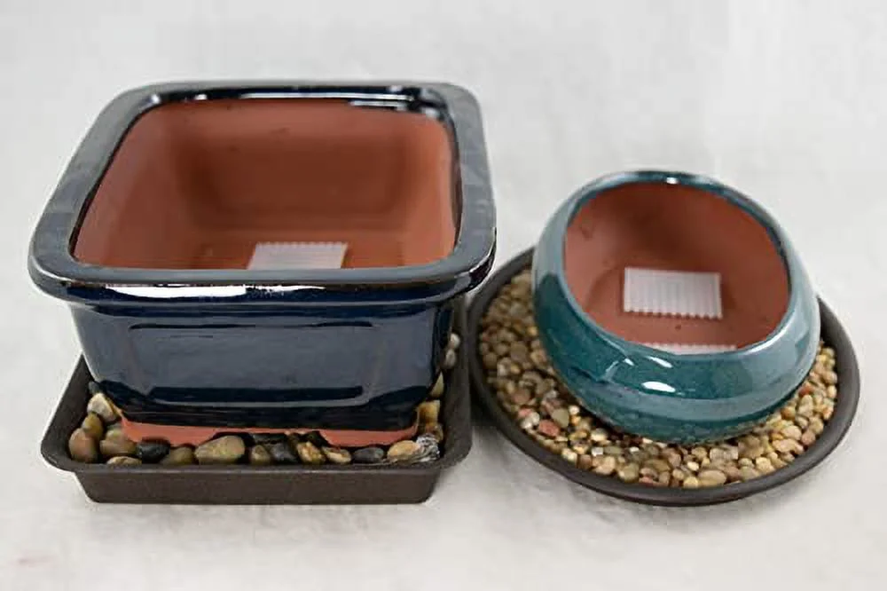 2 x Amazing Glazed Bonsai/Cactus & Succulent Pot + Tray + Rock + Mesh Combo