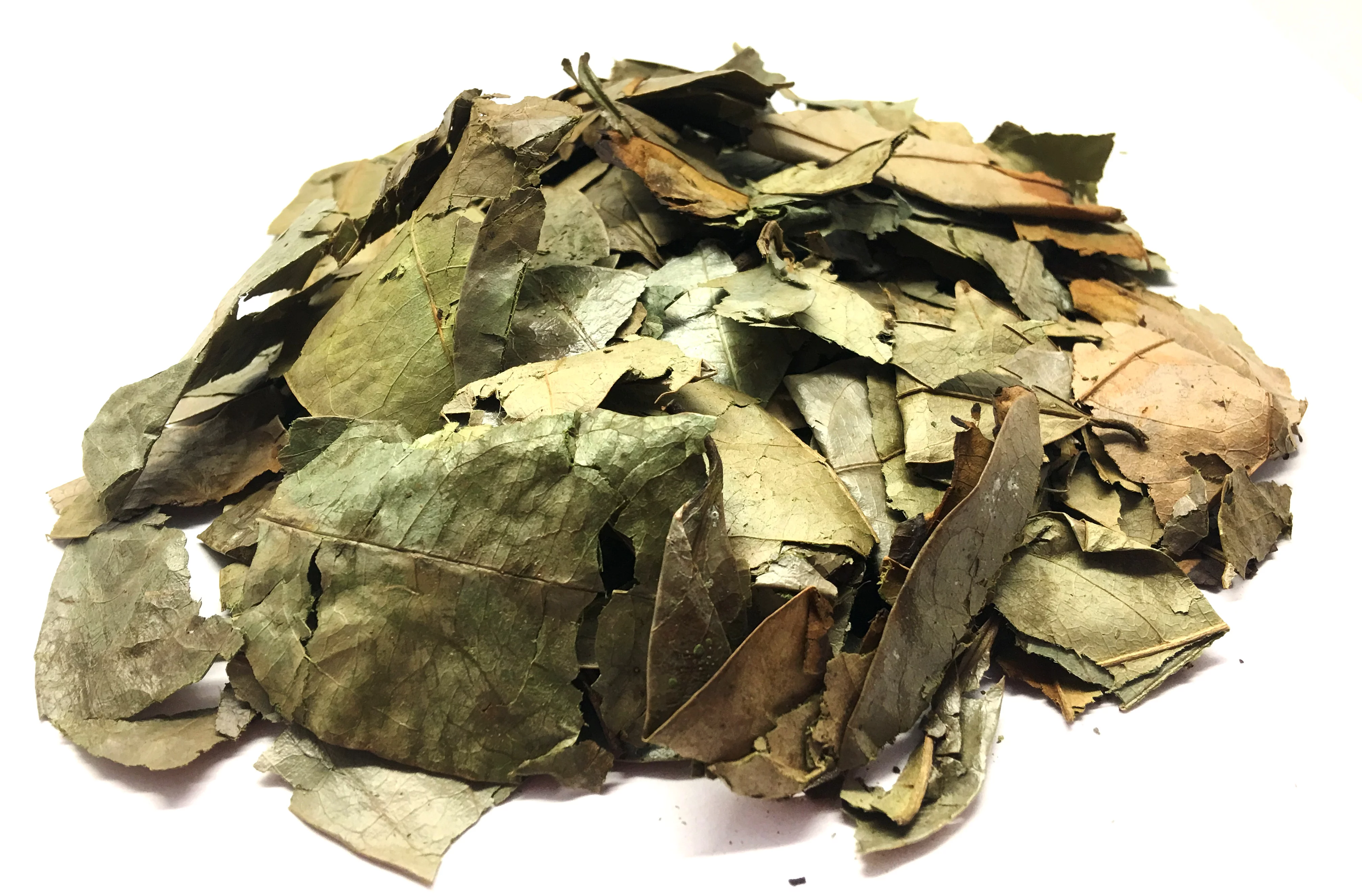 Soursop Leaves Hoja de Guanabana Herbal Infusion Value Pack (105g)