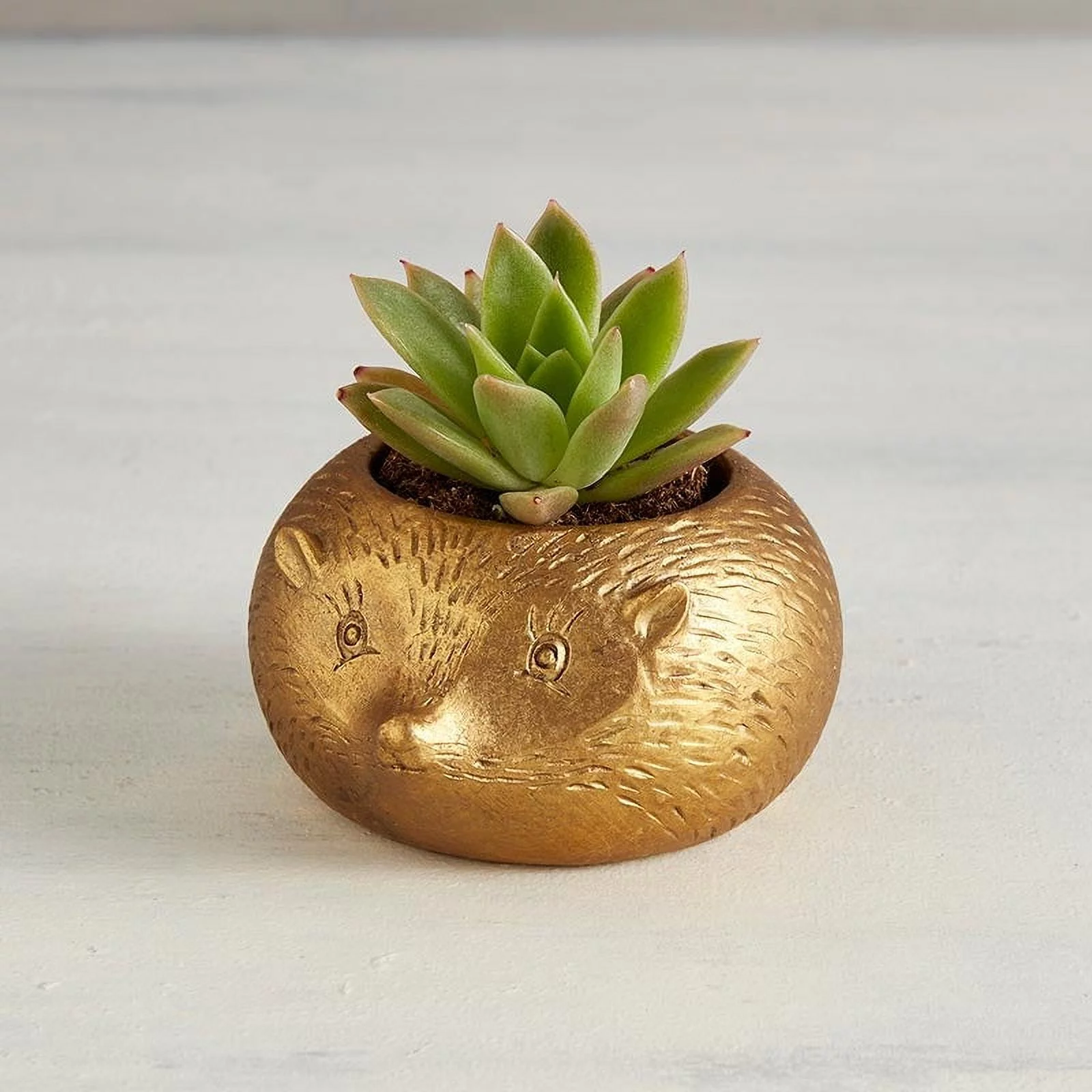 47th & Main Mole Gold Metallic Mini Planter Pot