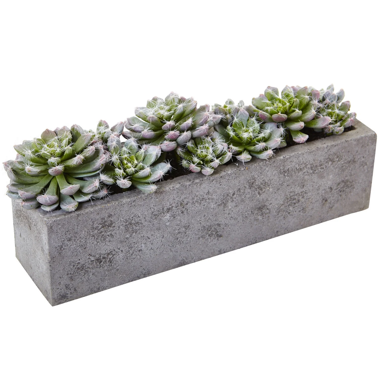 HomeStock Nordic Haven Succulent Garden With Textured Concrete Planter