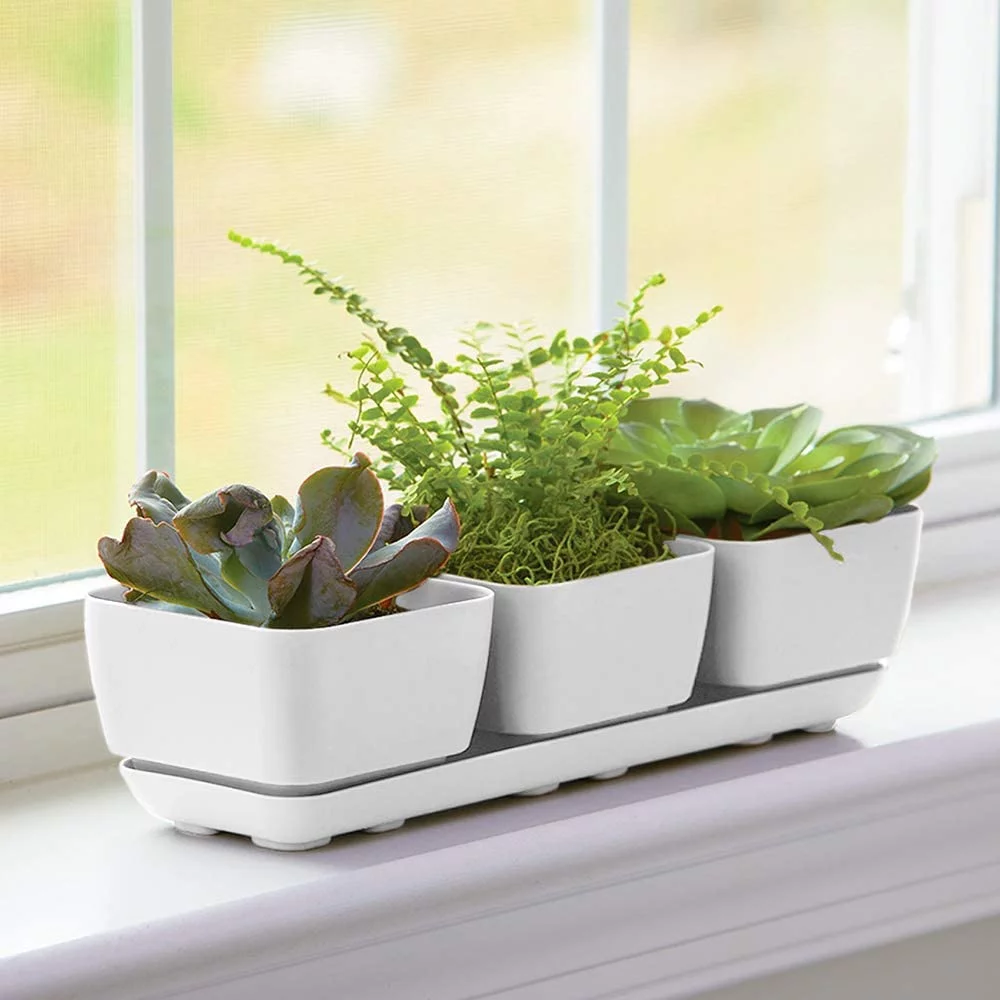 Novelty Herb & Succulent Trio Planter/Plastic Flower Pot, White, 12