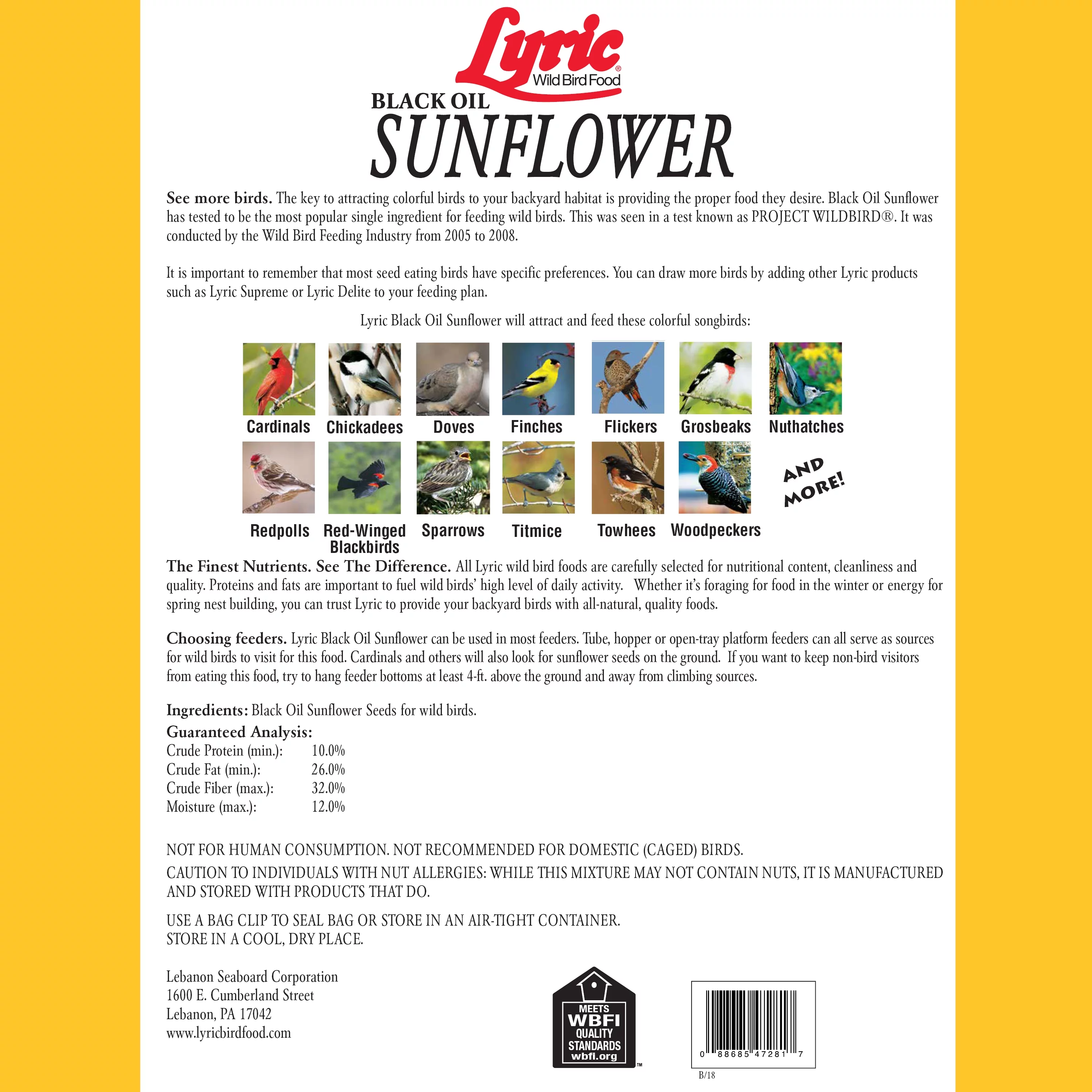 Lyric Black Oil Sunflower Seeds - 5 lb. Bag
