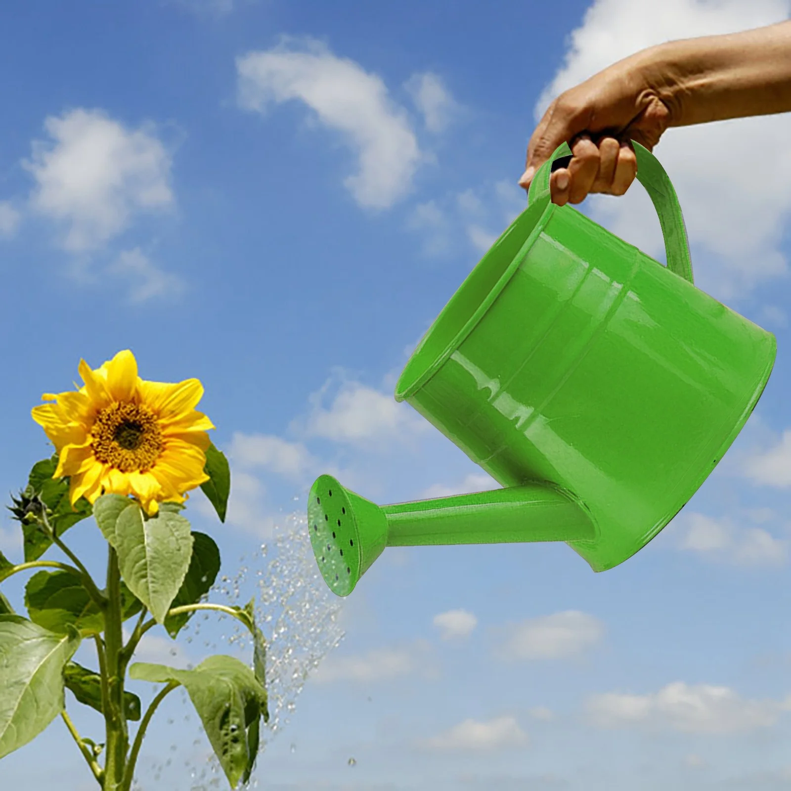 AaSFJEG Outdoor Decor Galvanized Iron Shower Iron Bucket Tinplate Watering Kettle Small Flower Pot Flower Pot